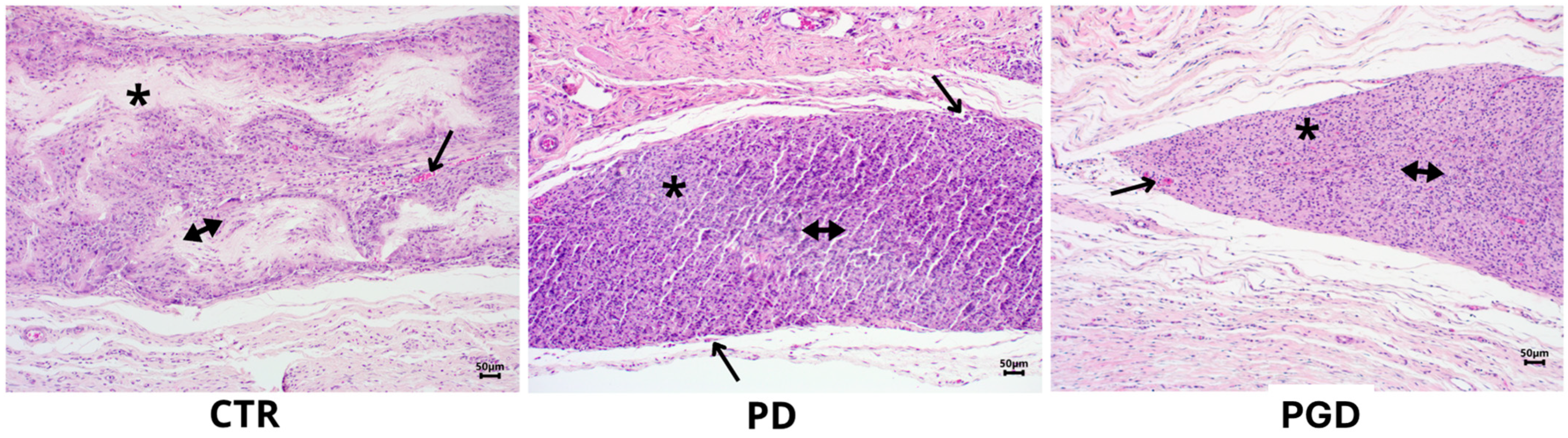 Pharmaceutics 16 00925 g009