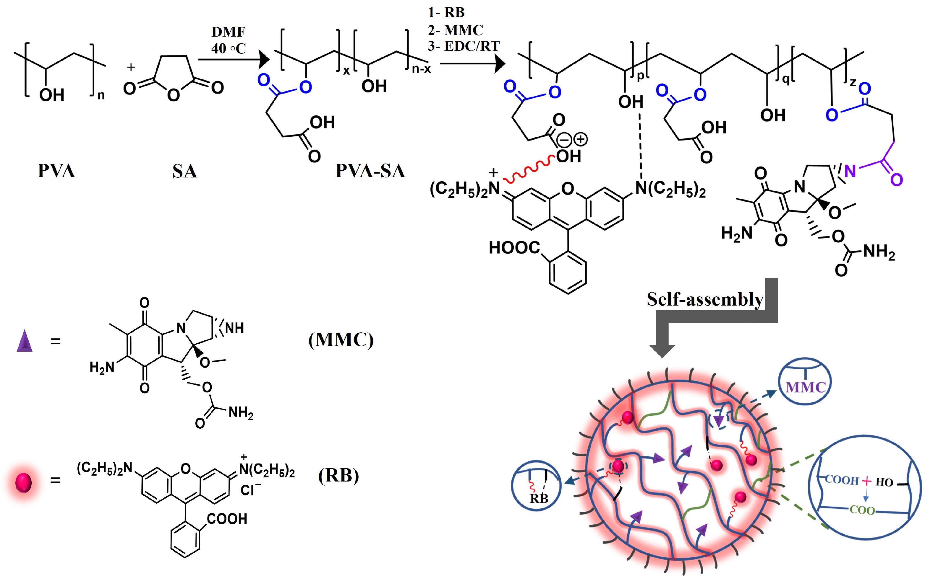 Pharmaceutics 16 00931 g001