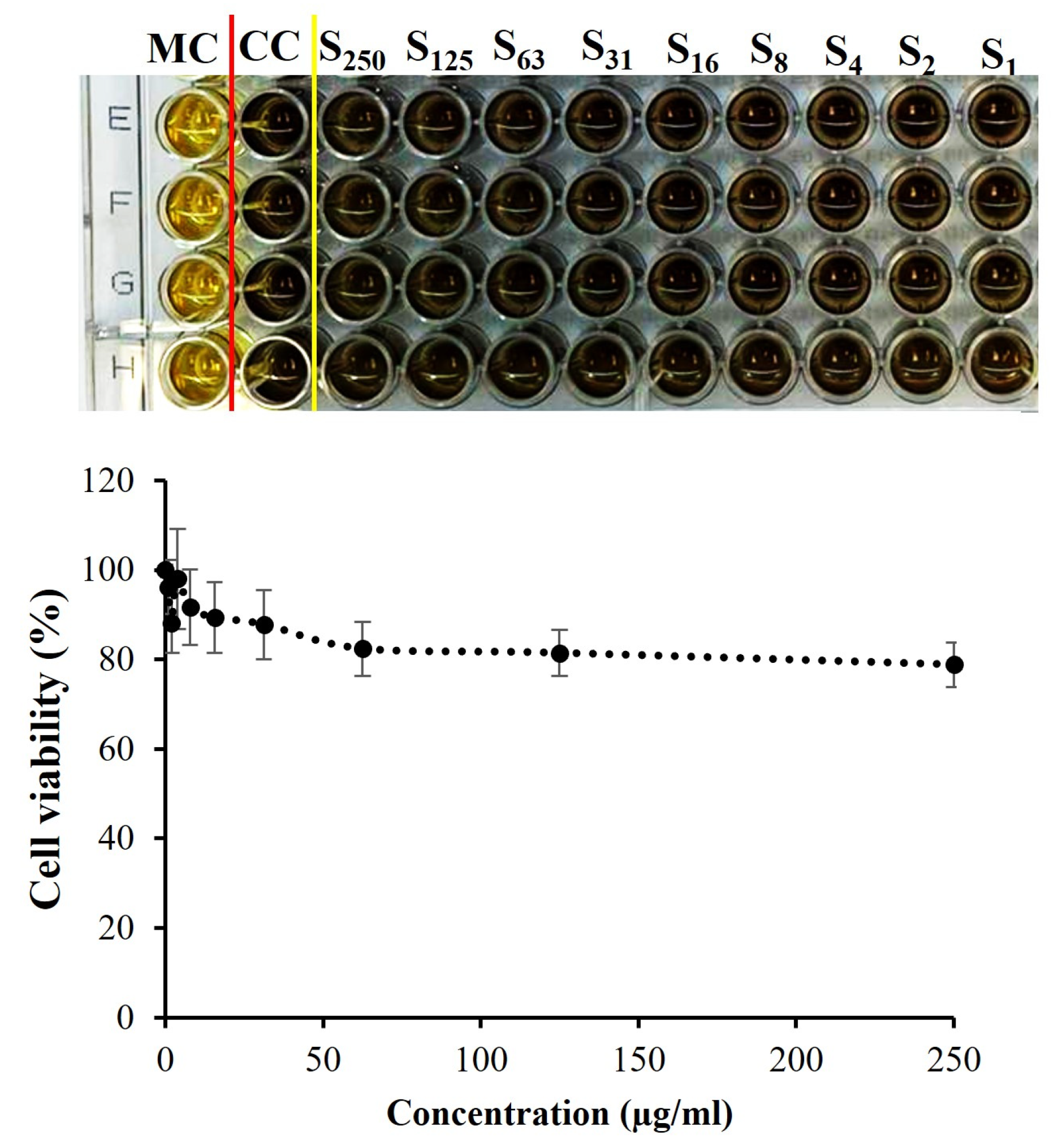 Pharmaceutics 16 00931 g009