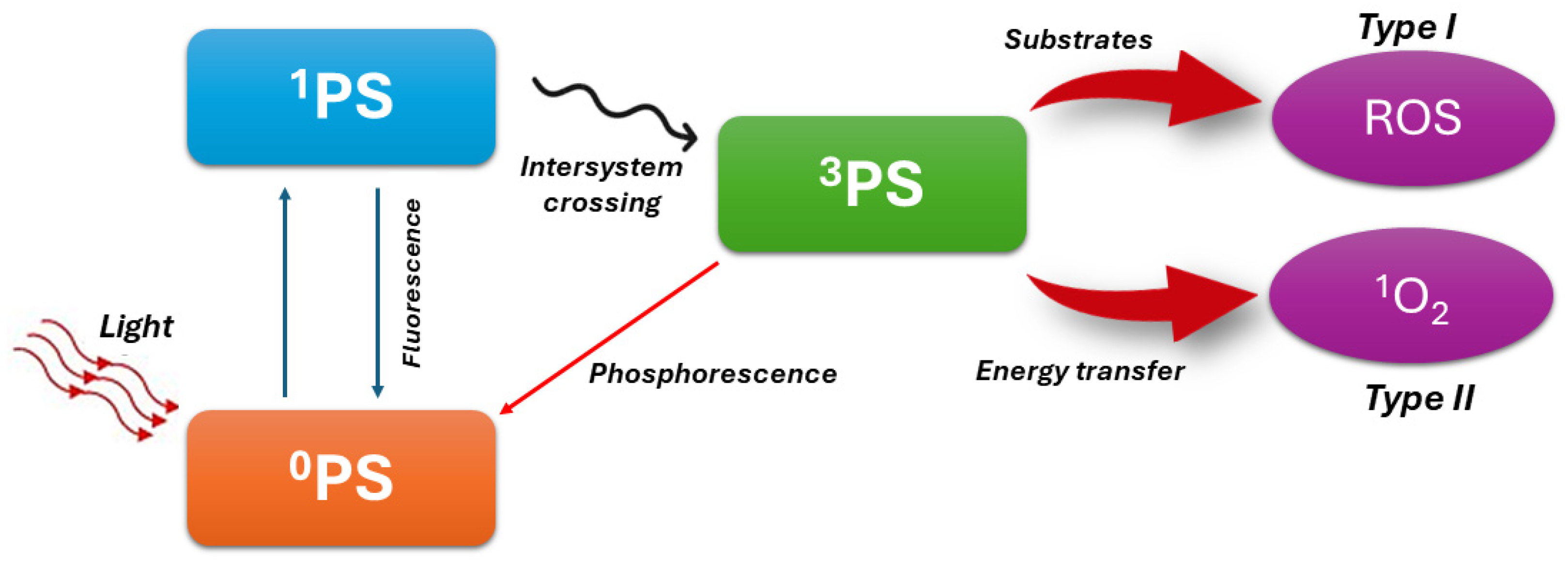 Pharmaceutics 16 00932 g001