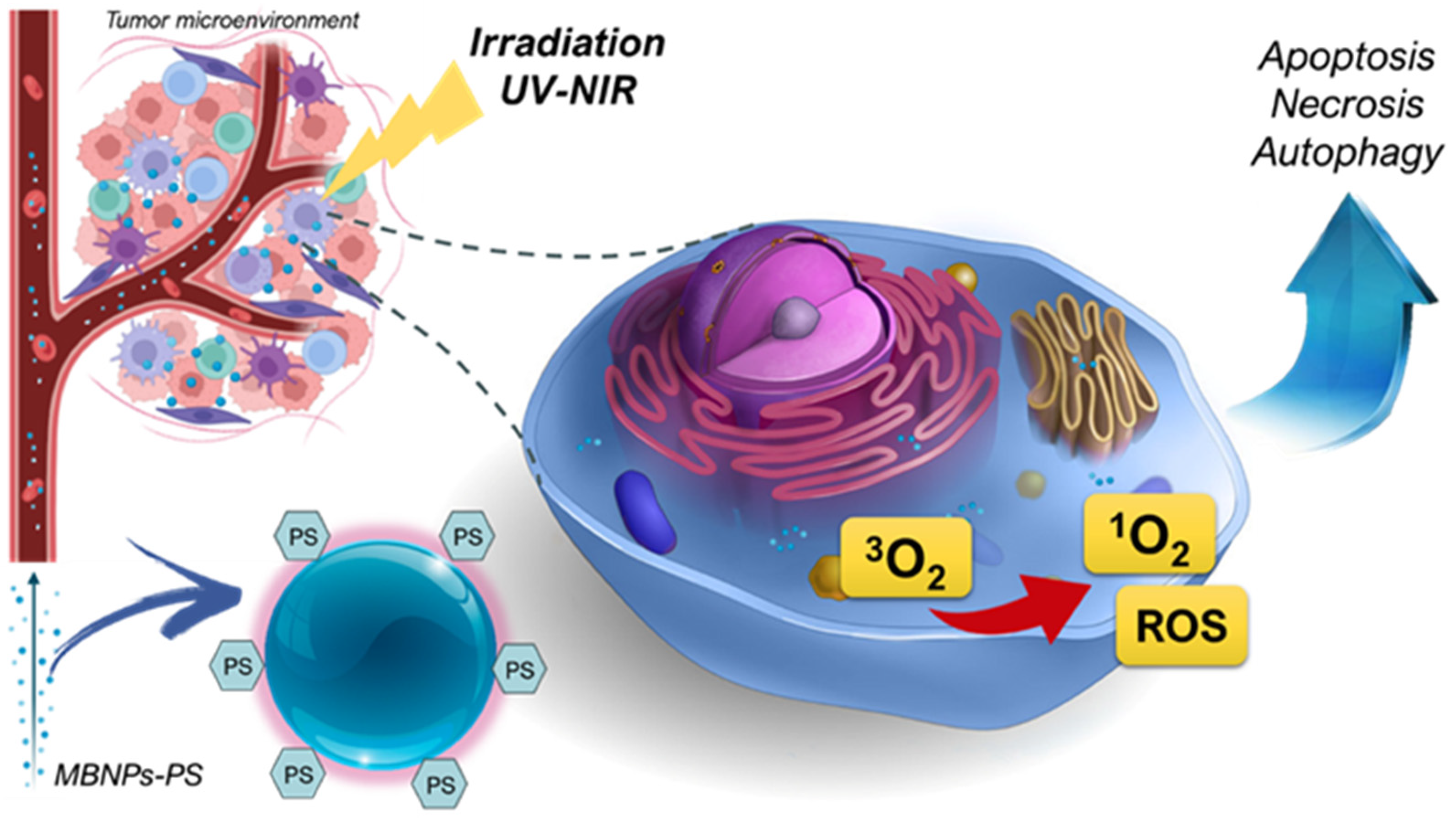 Pharmaceutics 16 00932 g003