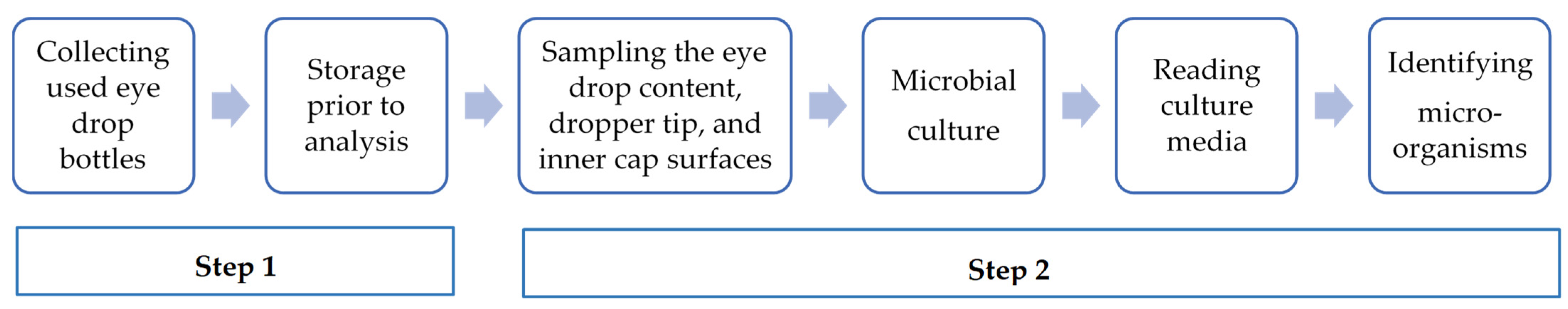 Pharmaceutics 16 00933 g001