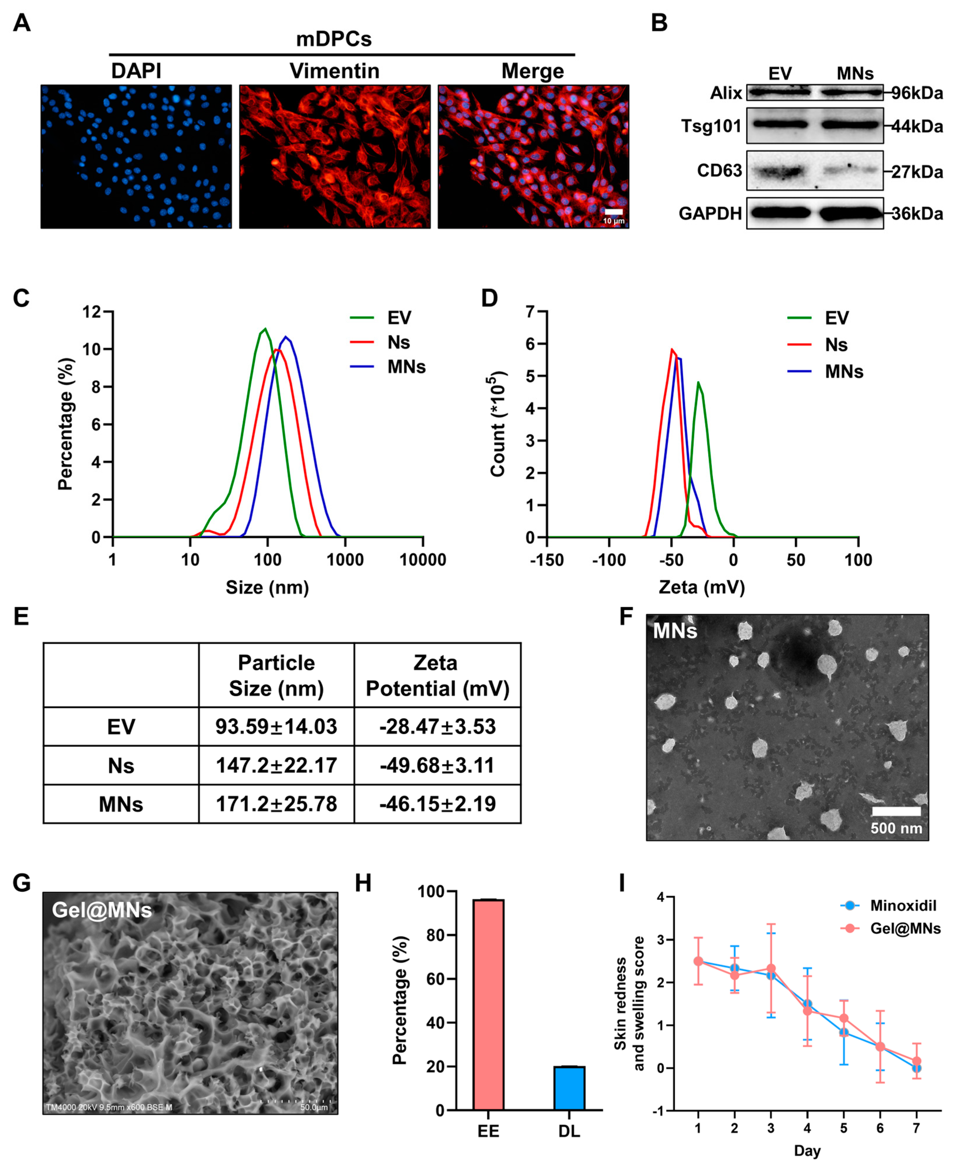 Pharmaceutics 16 00935 g001
