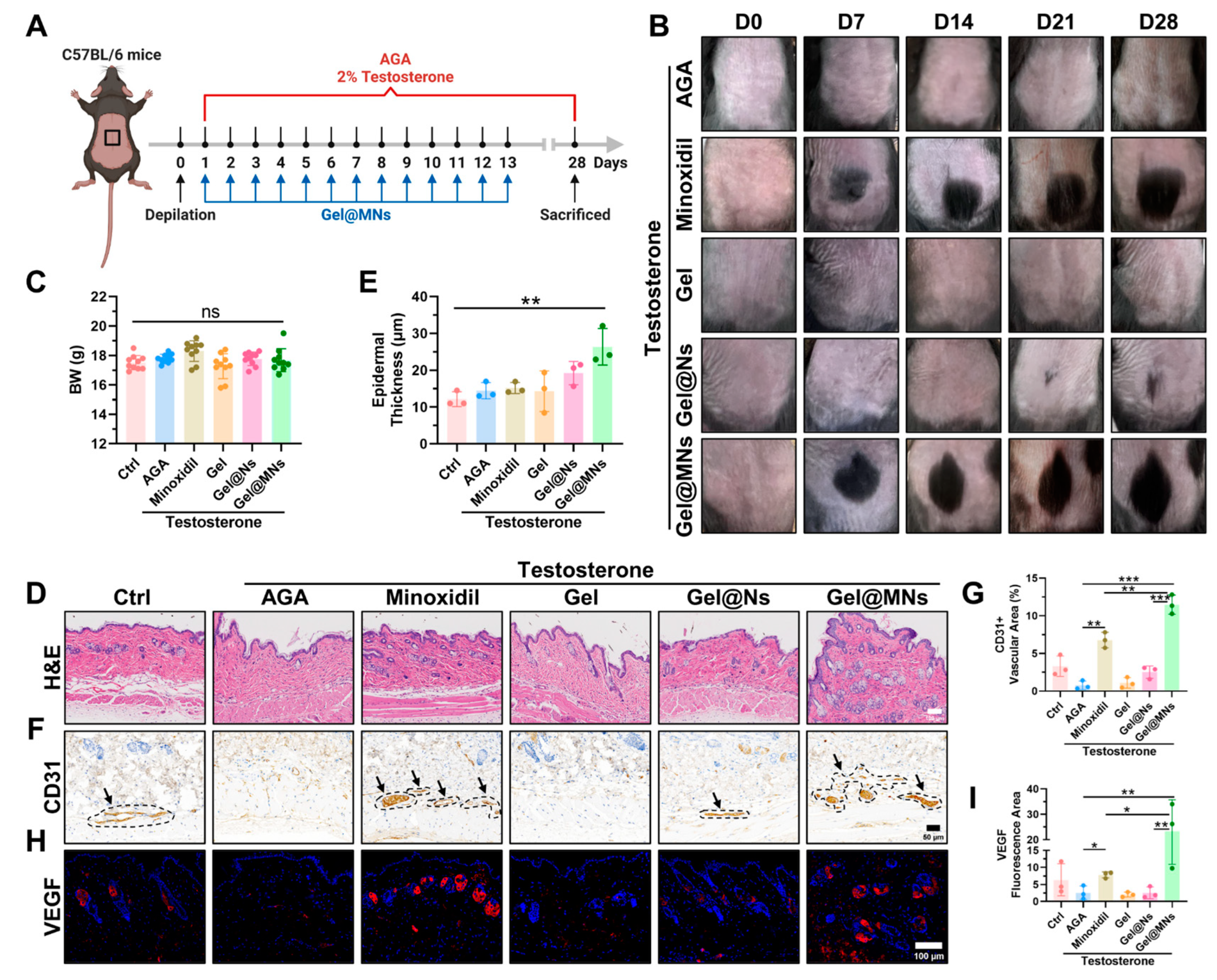 Pharmaceutics 16 00935 g002