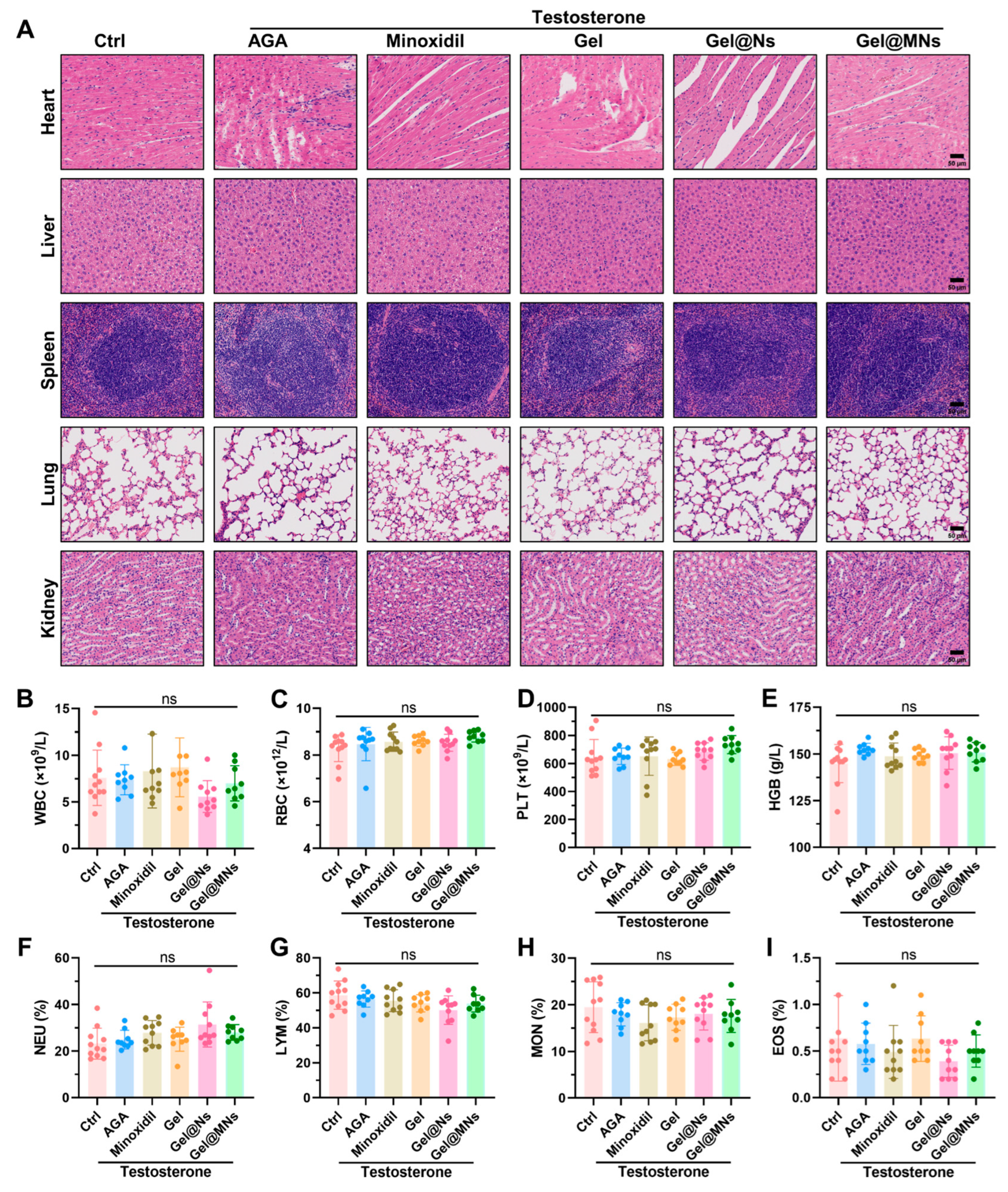 Pharmaceutics 16 00935 g003