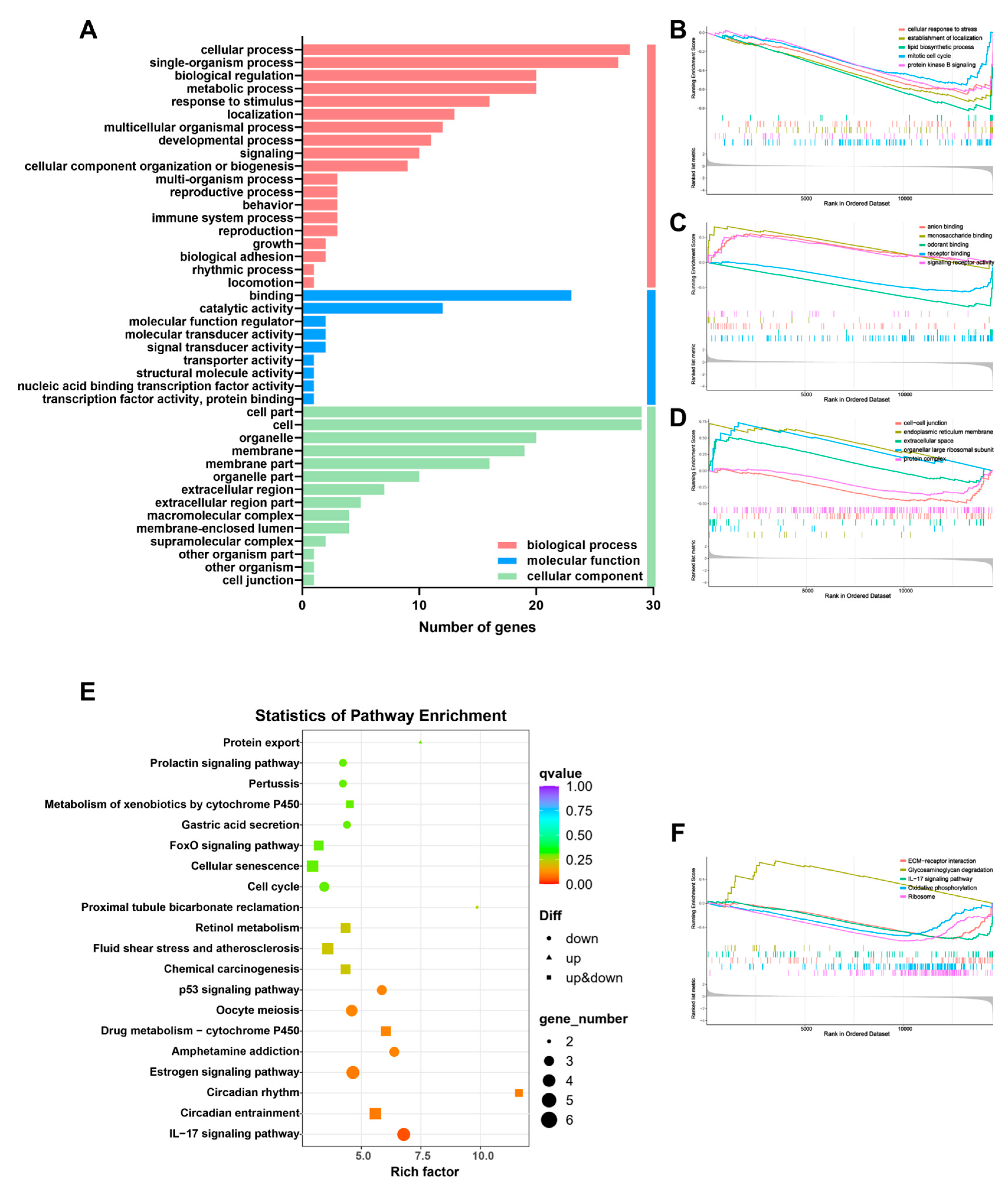 Pharmaceutics 16 00935 g005