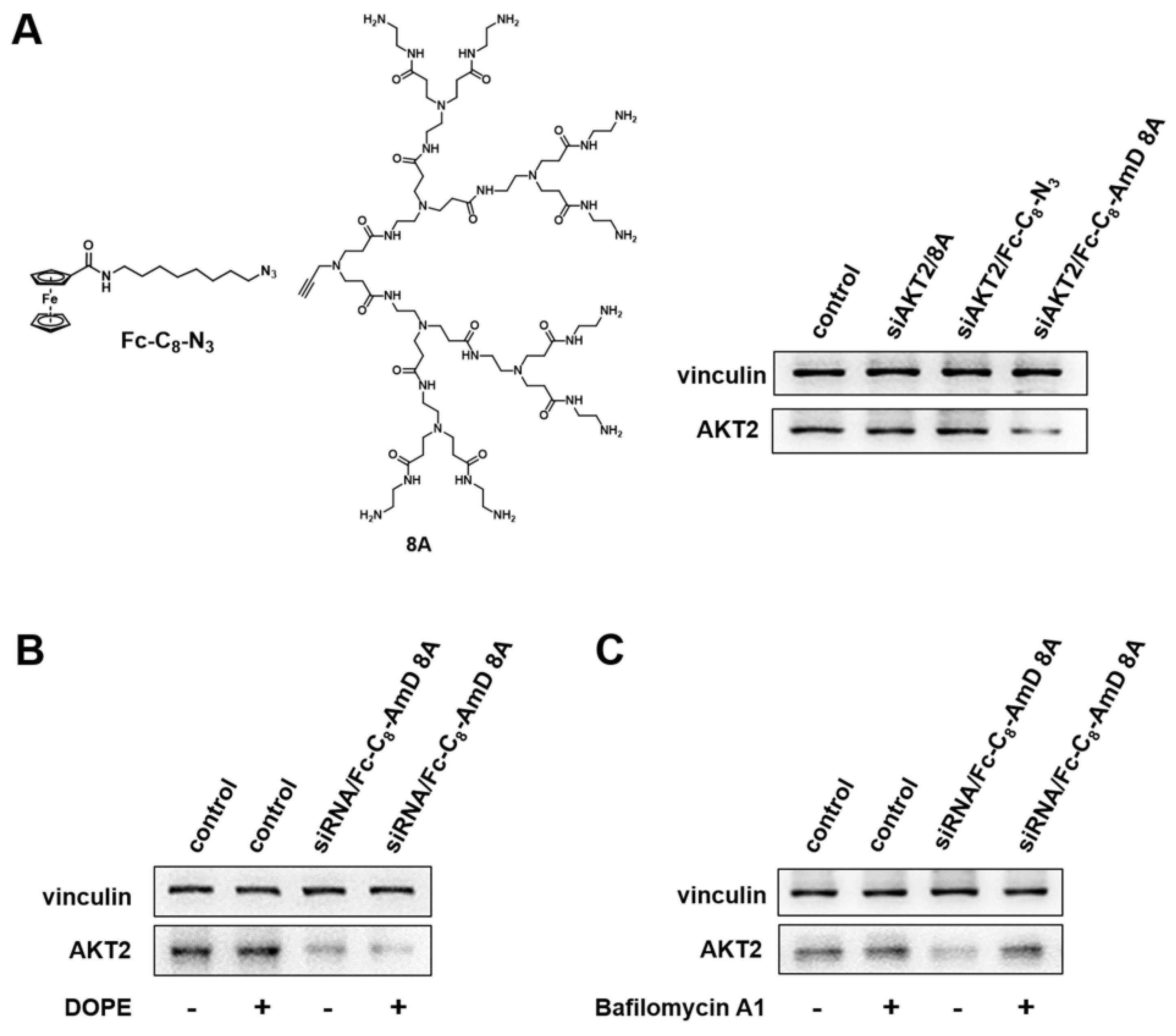 Pharmaceutics 16 00936 g004