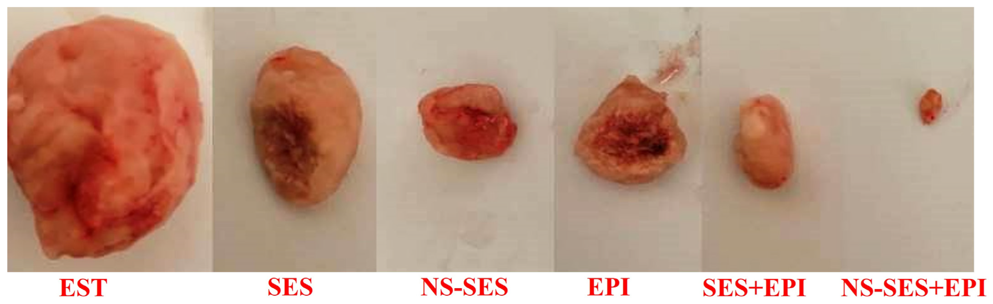 Pharmaceutics 16 00937 g001