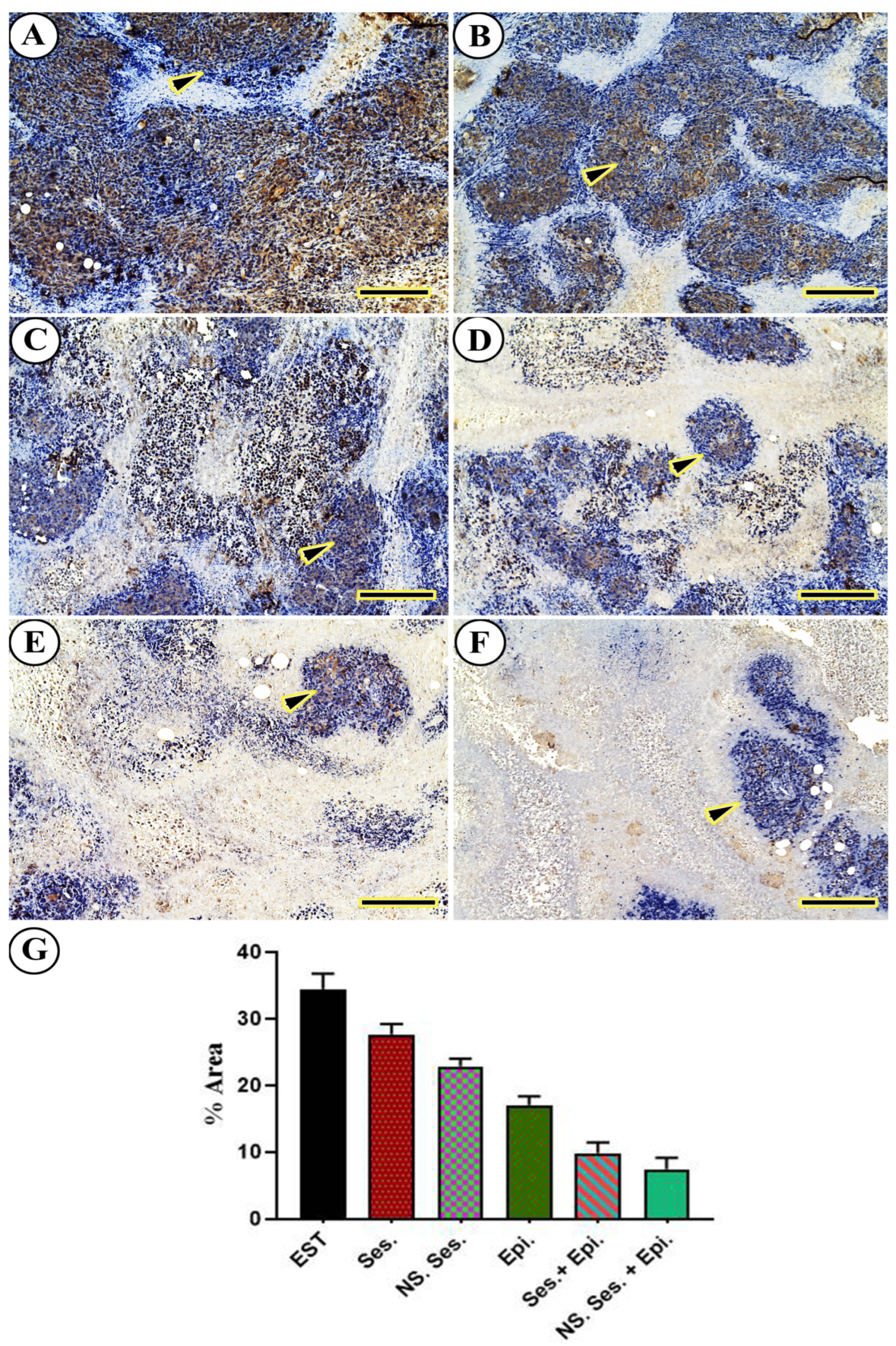 Pharmaceutics 16 00937 g008