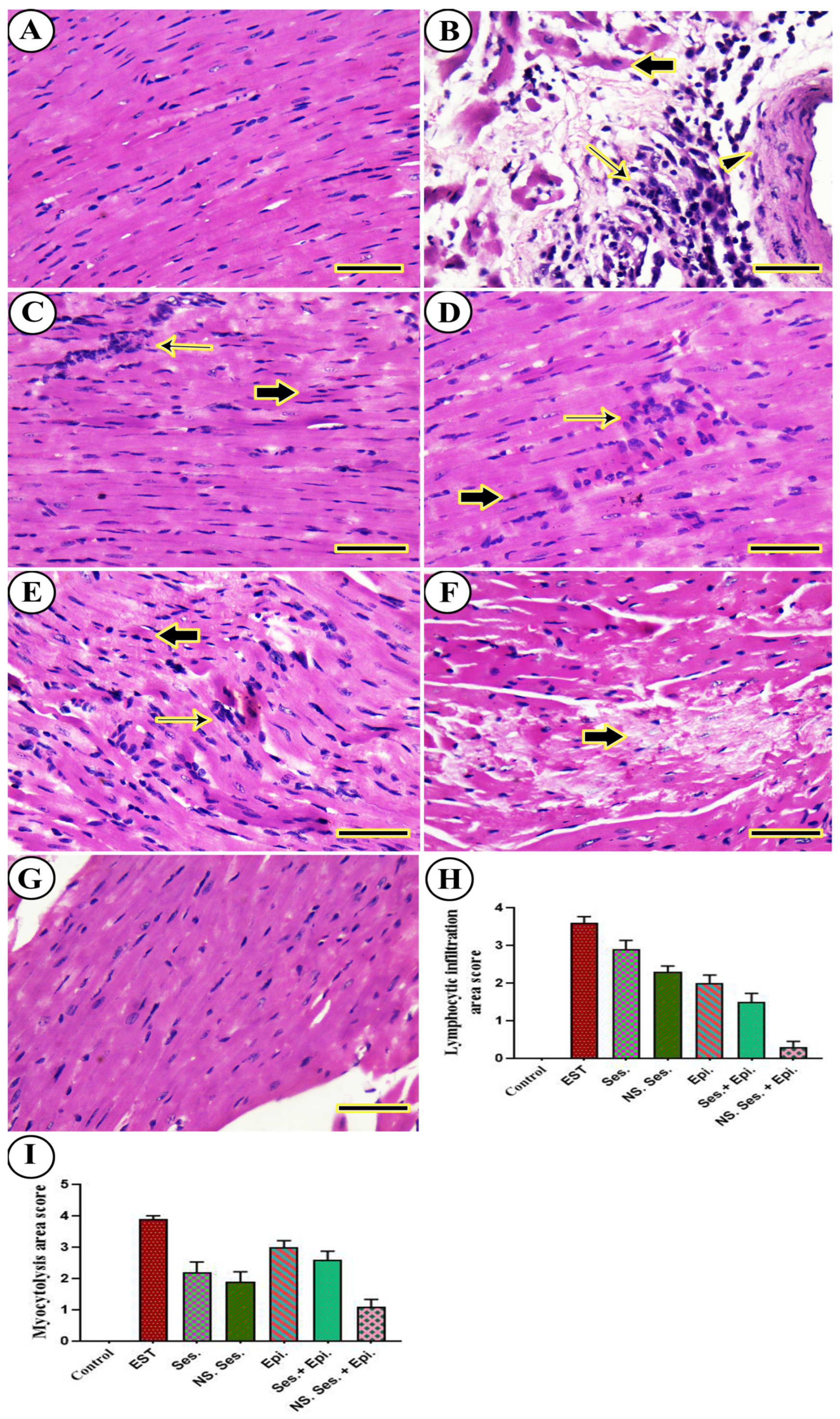 Pharmaceutics 16 00937 g012