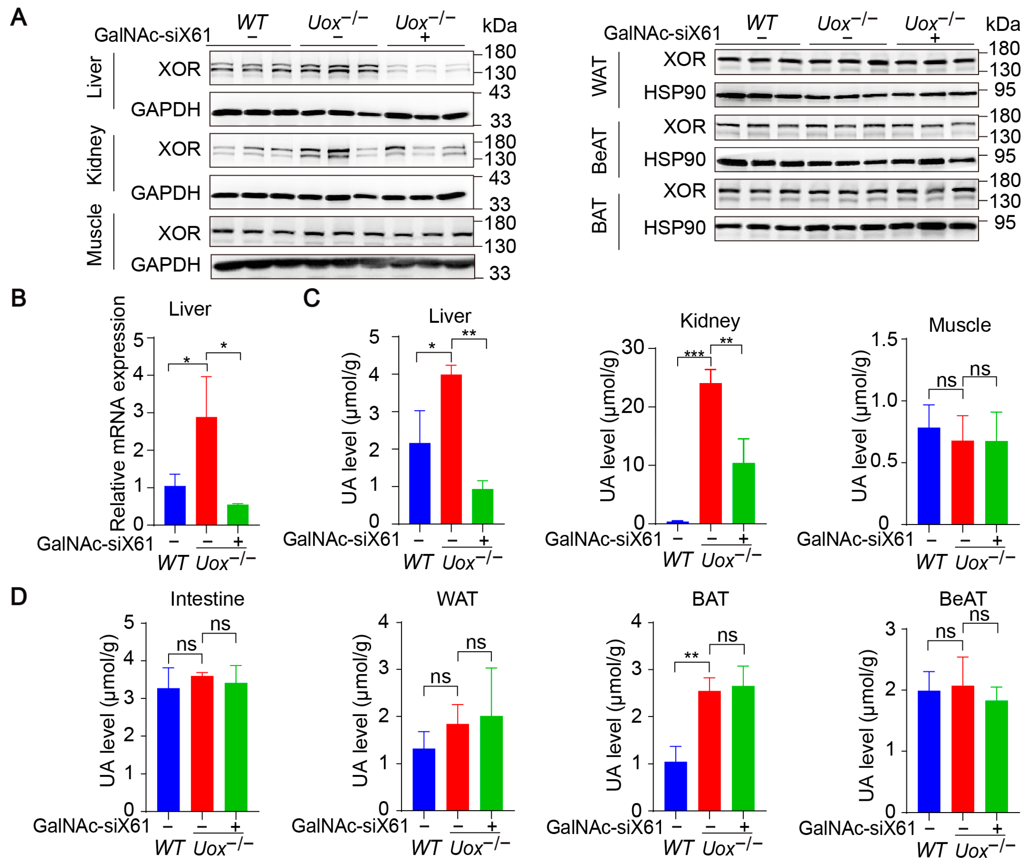 Pharmaceutics 16 00938 g008