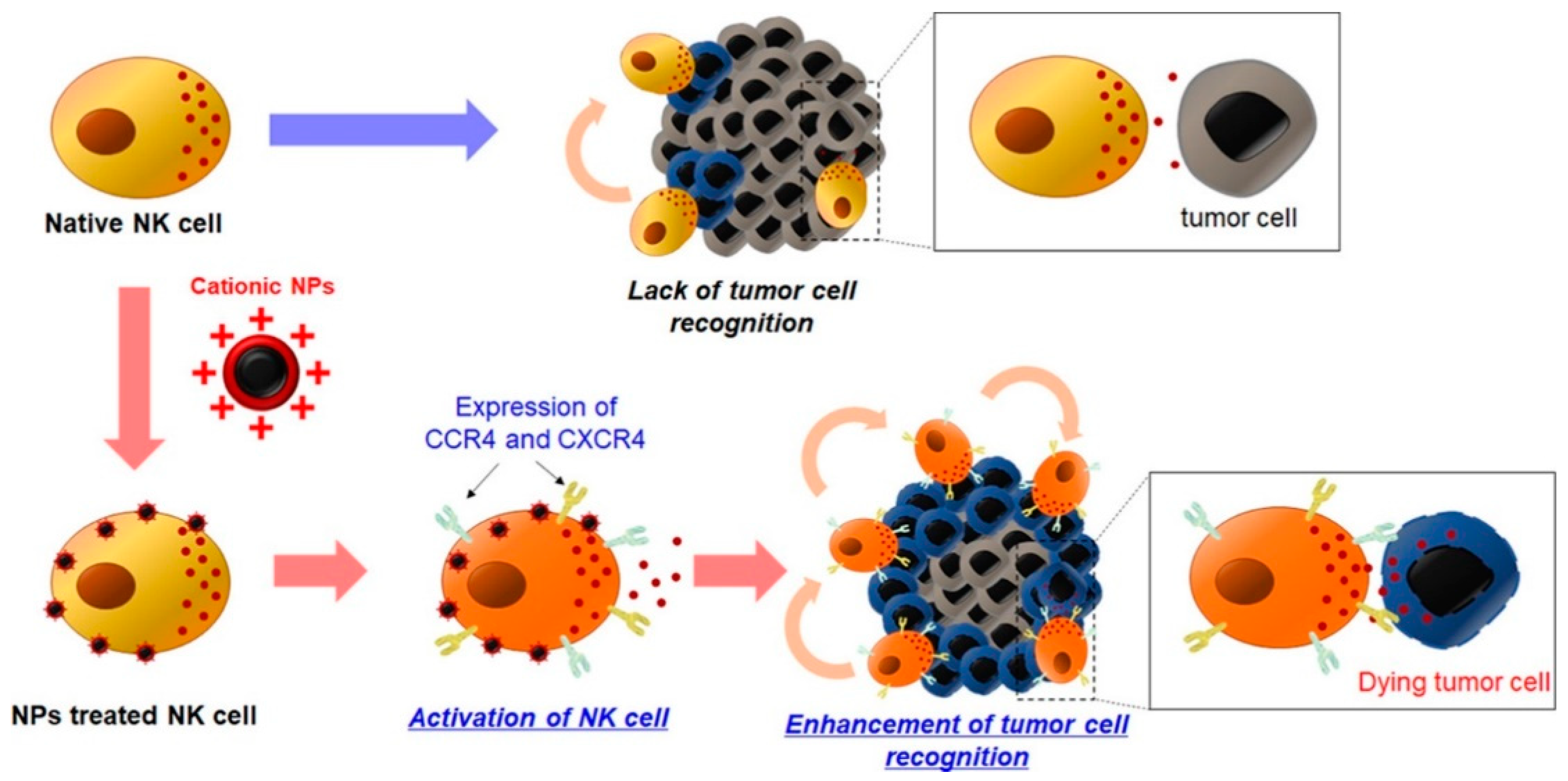 Pharmaceutics 16 00939 g003