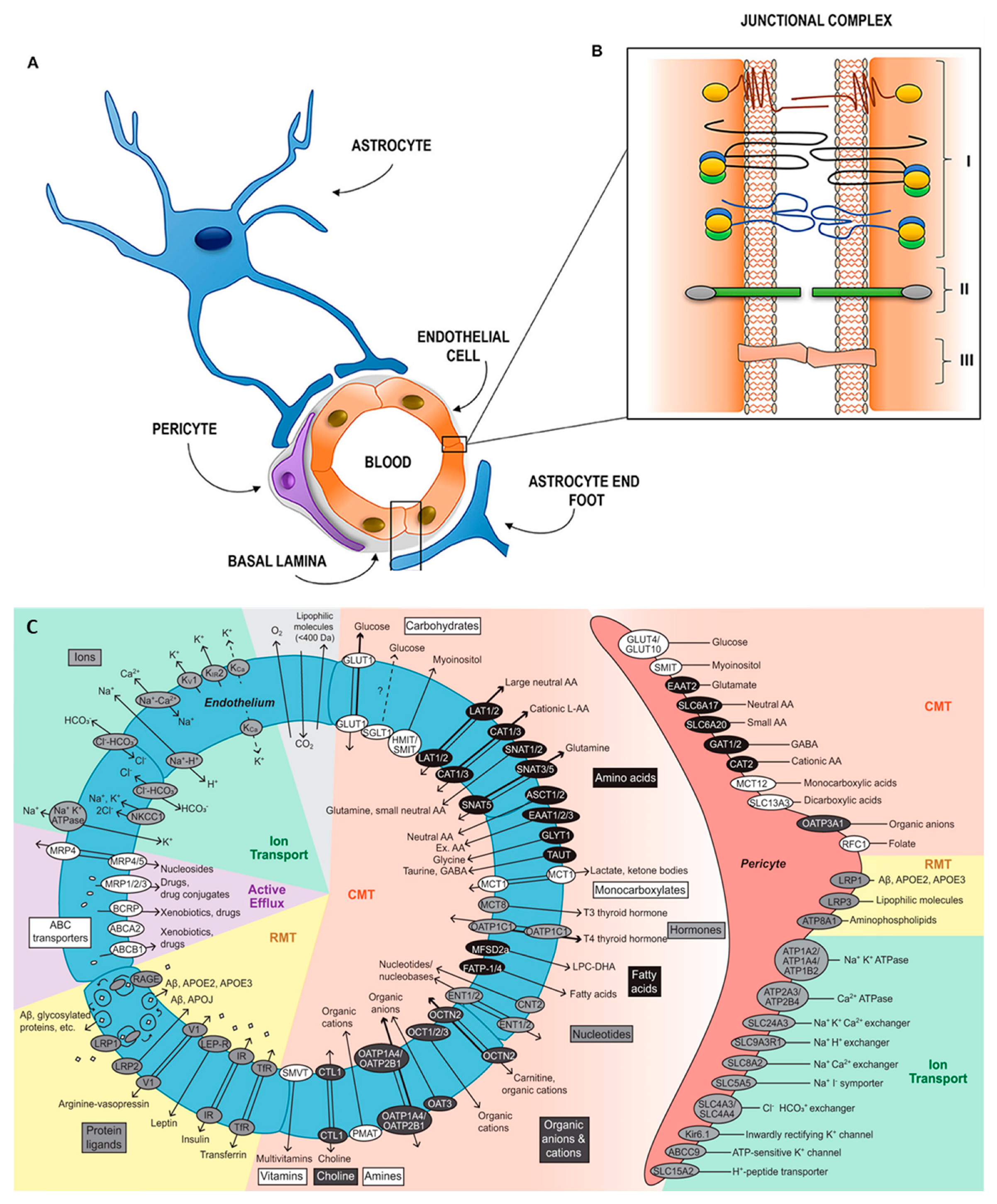 Pharmaceutics 16 00942 g001
