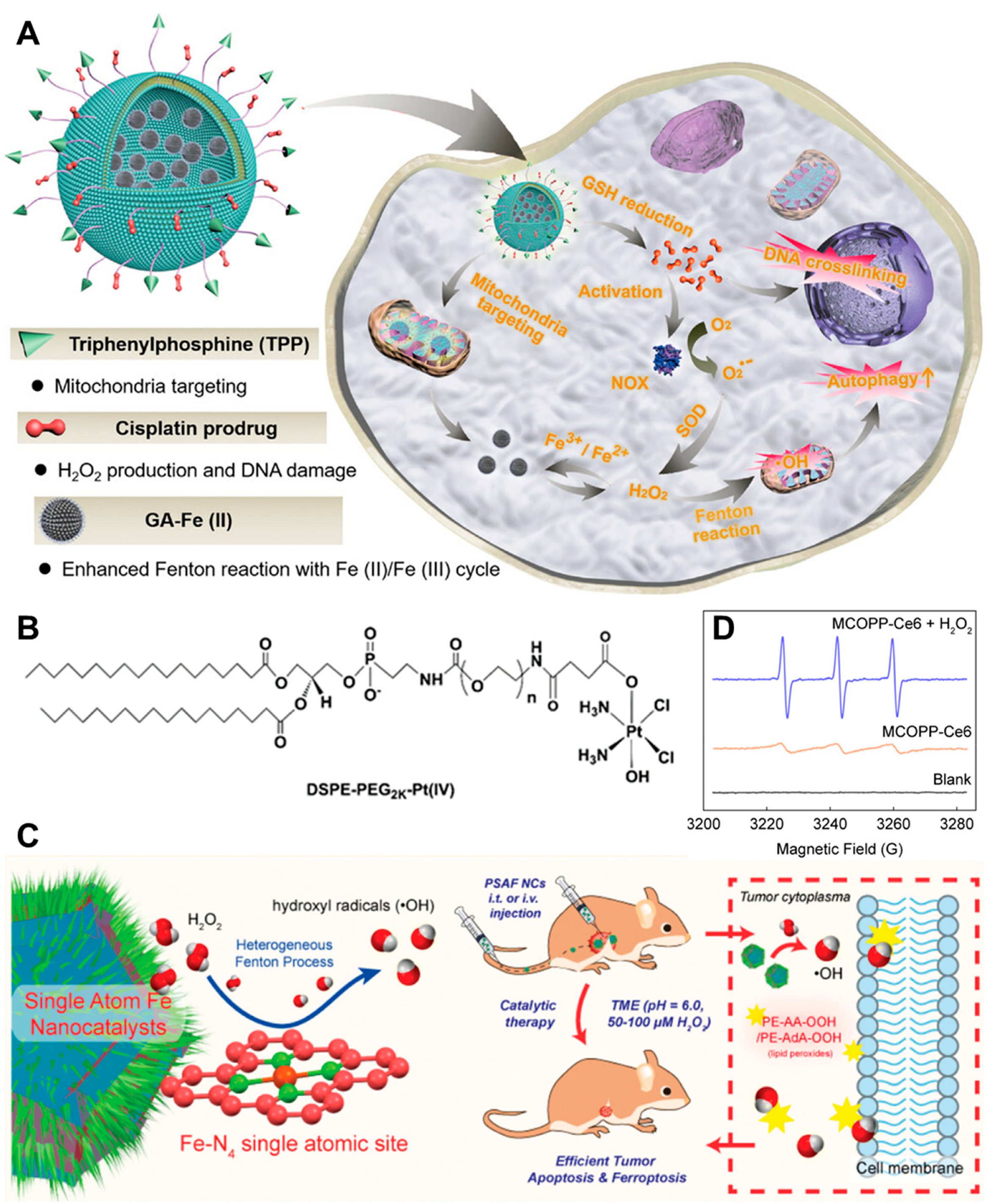 Pharmaceutics 16 00942 g002