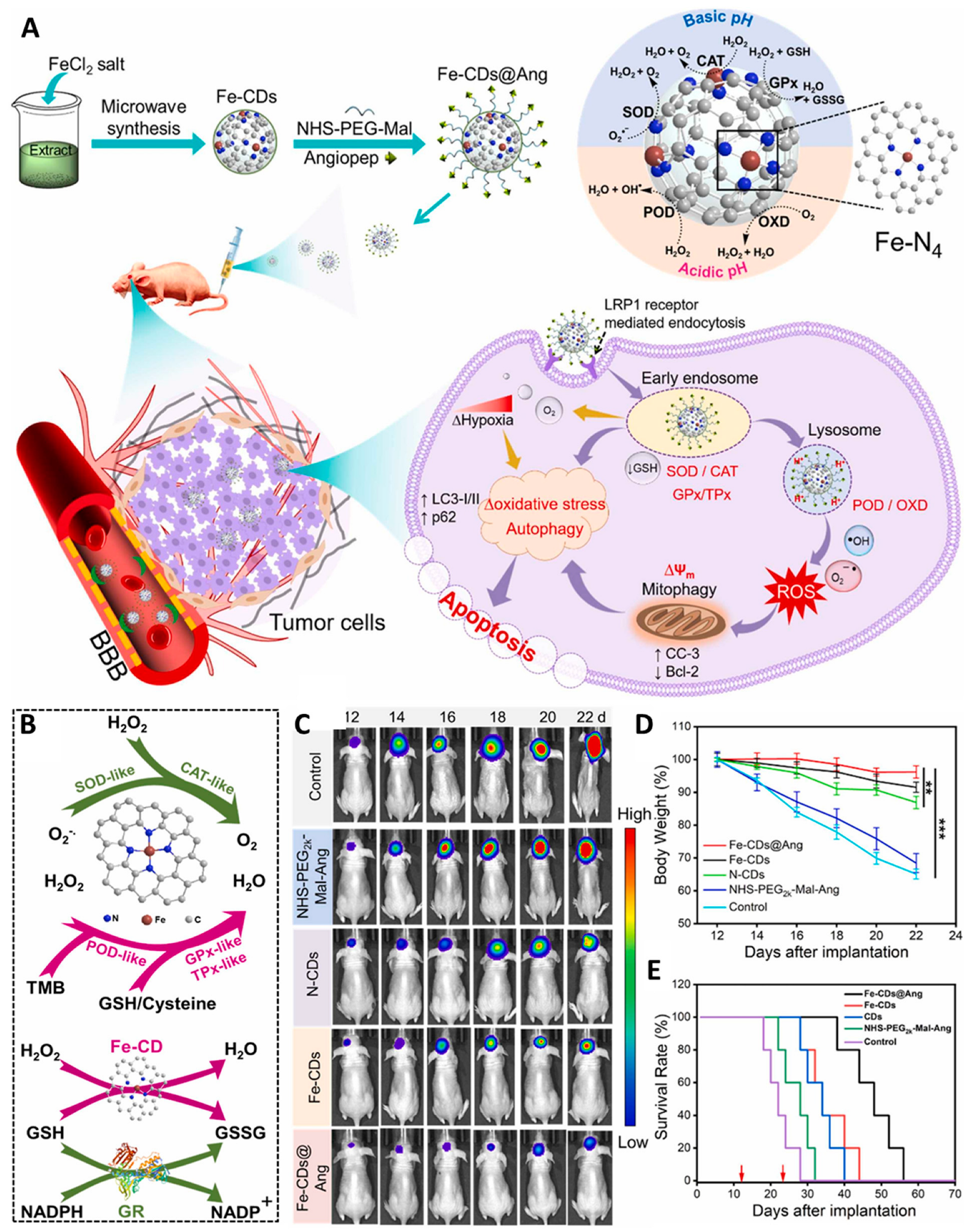 Pharmaceutics 16 00942 g003