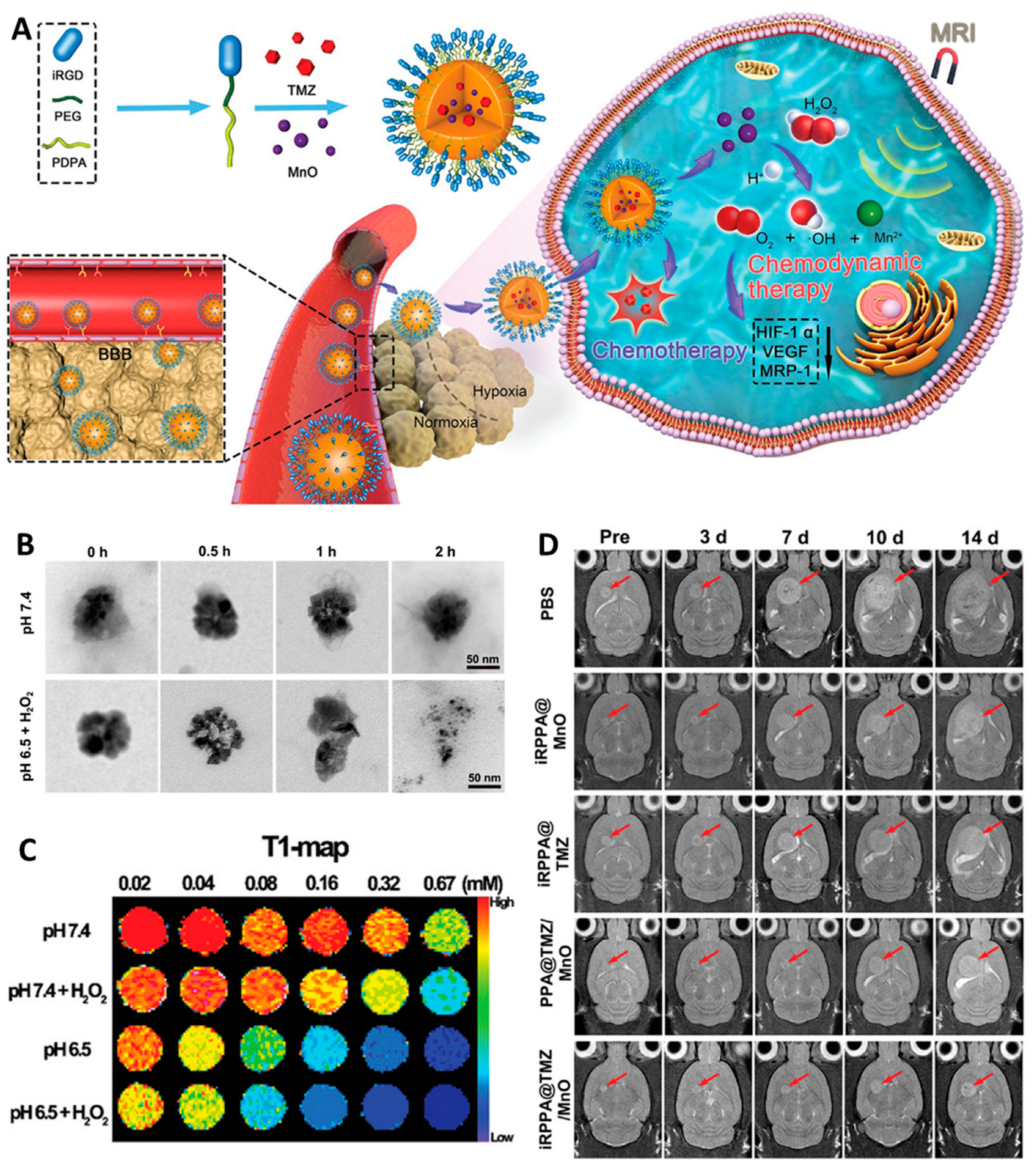 Pharmaceutics 16 00942 g006