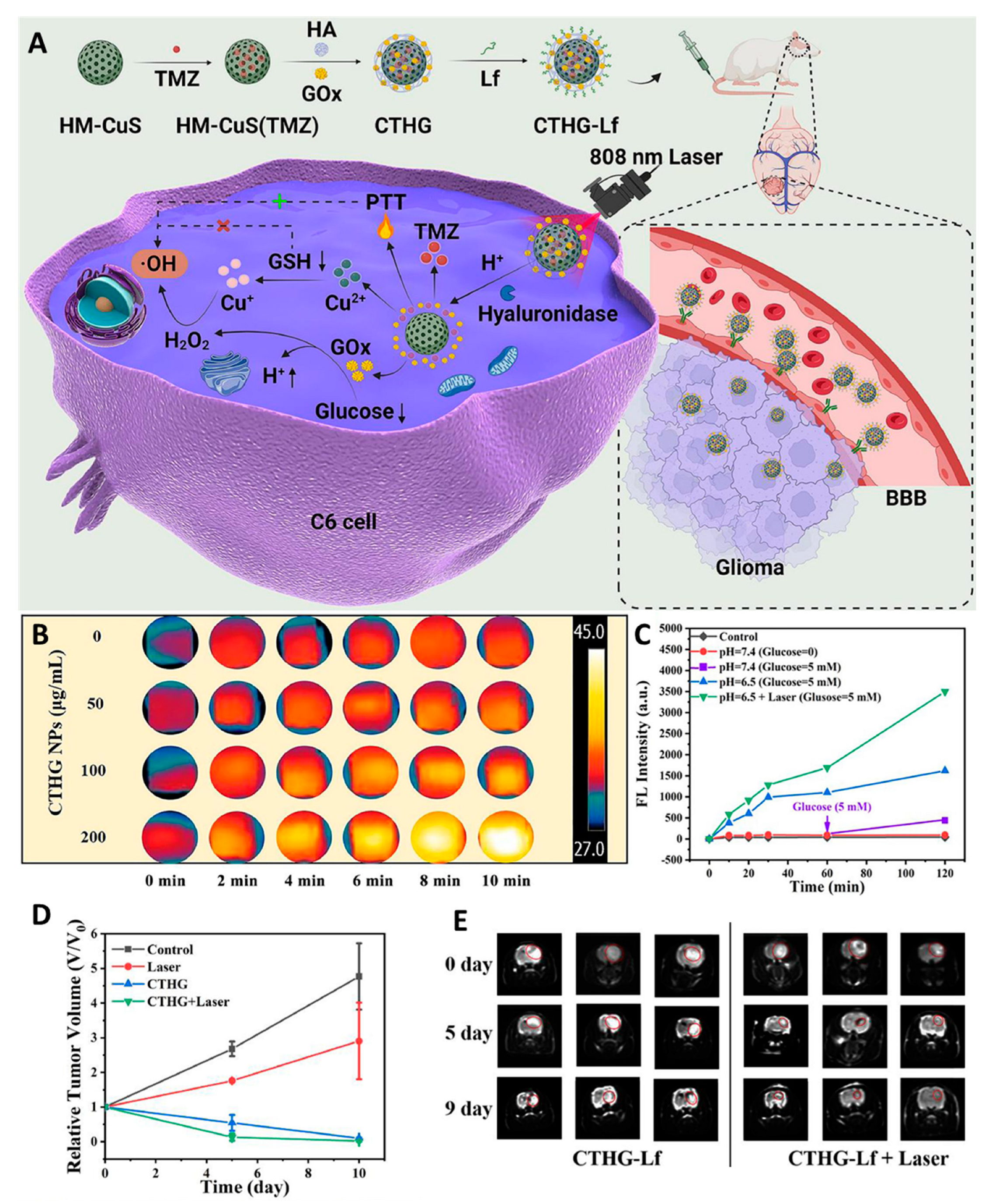 Pharmaceutics 16 00942 g007