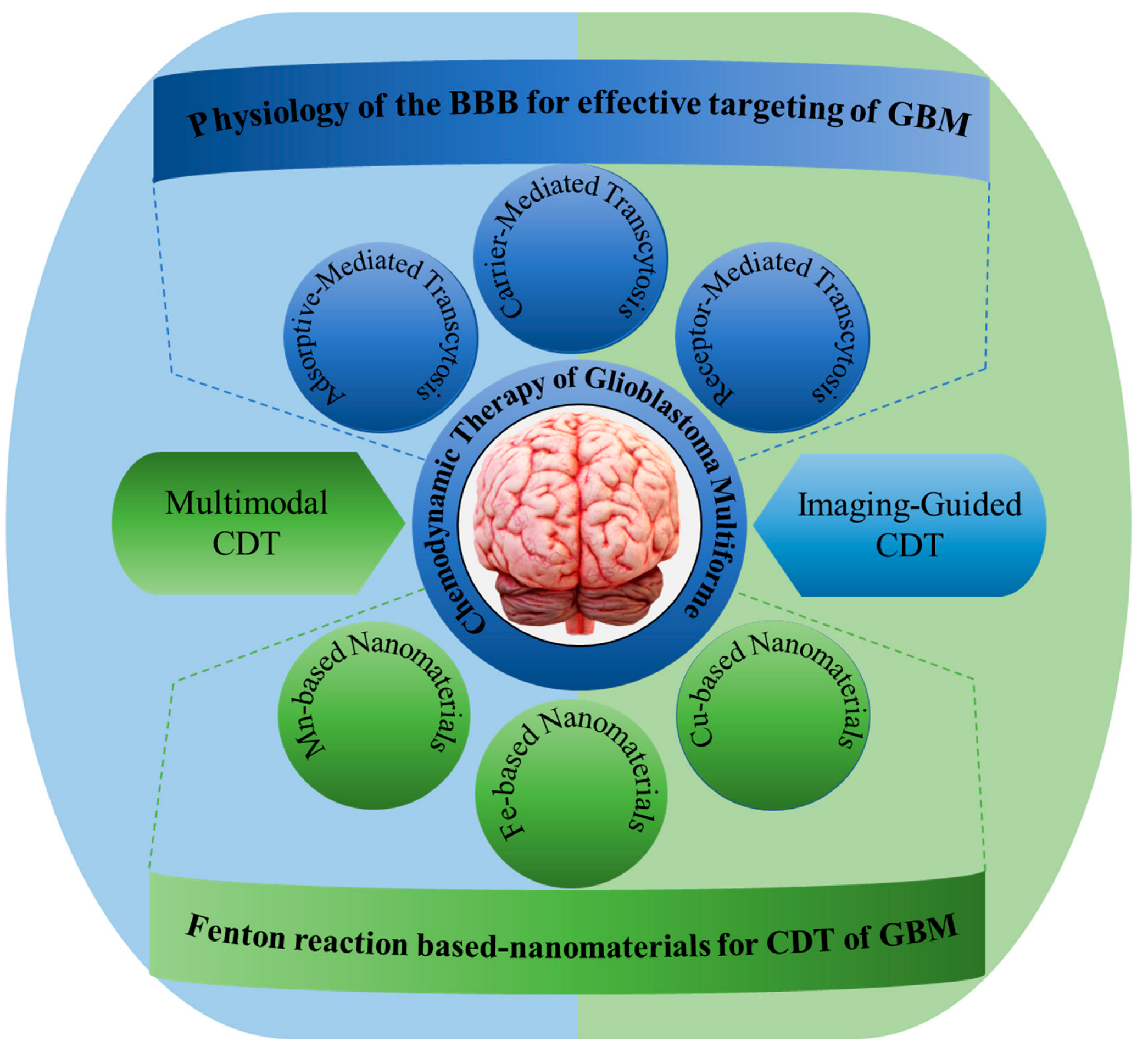 Pharmaceutics 16 00942 sch001
