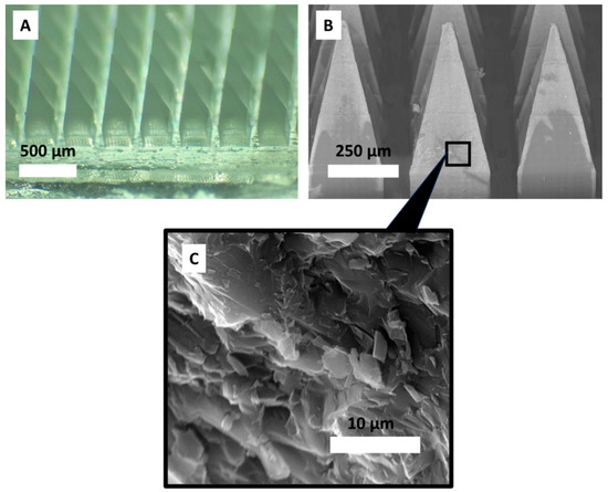 Pharmaceutics | Free Full-Text | Development of Norelgestromin ...