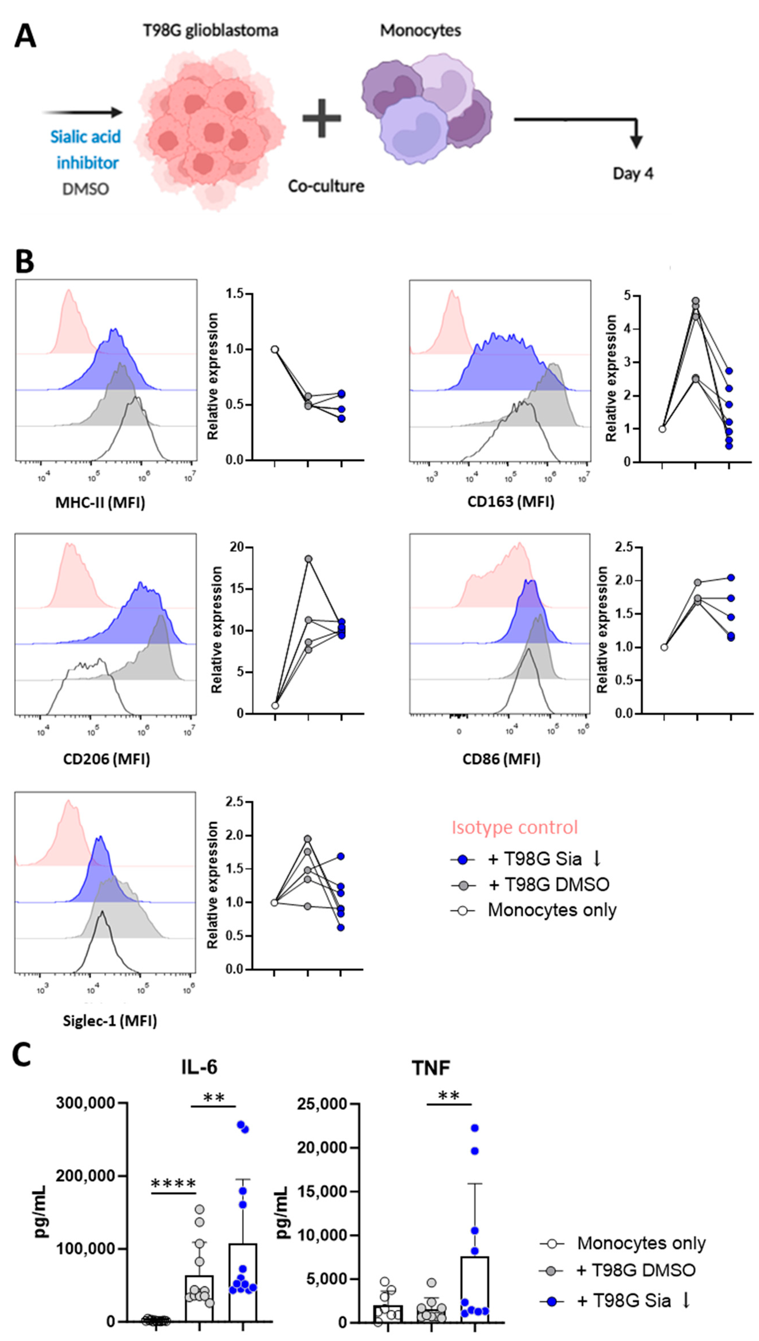 Pharmaceutics 16 00953 g002