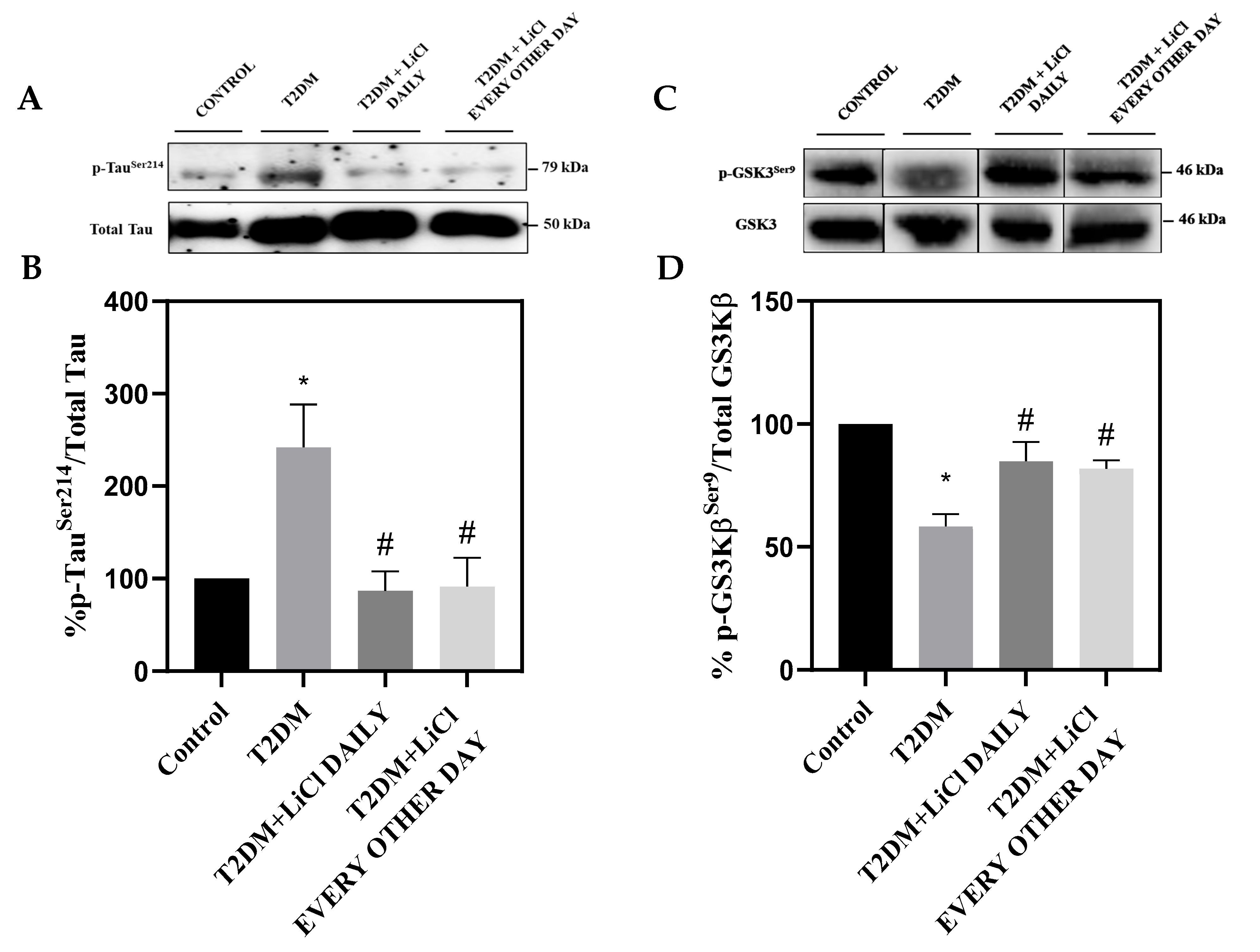 Pharmaceutics 16 00955 g001