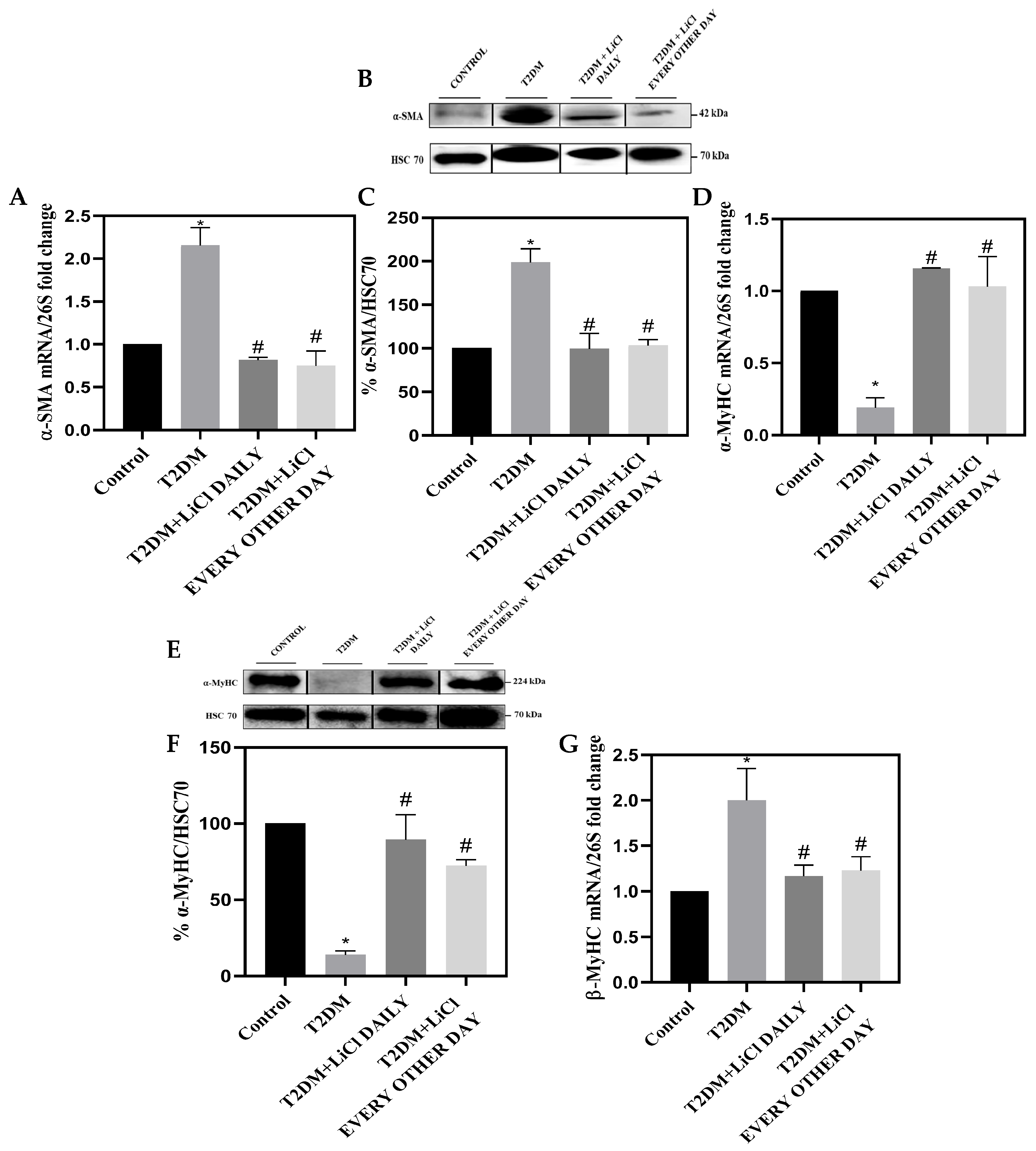 Pharmaceutics 16 00955 g003a