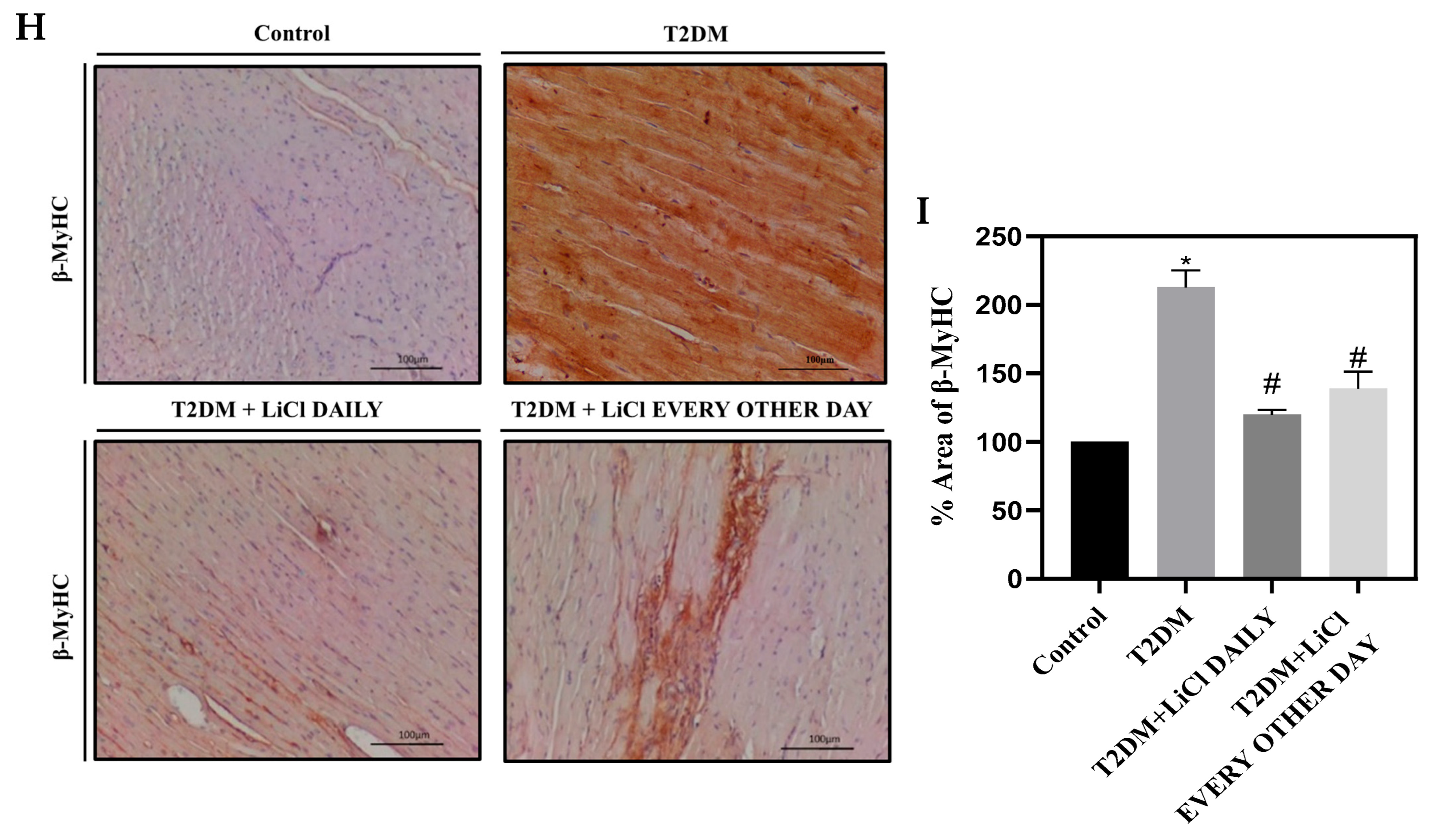 Pharmaceutics 16 00955 g003b
