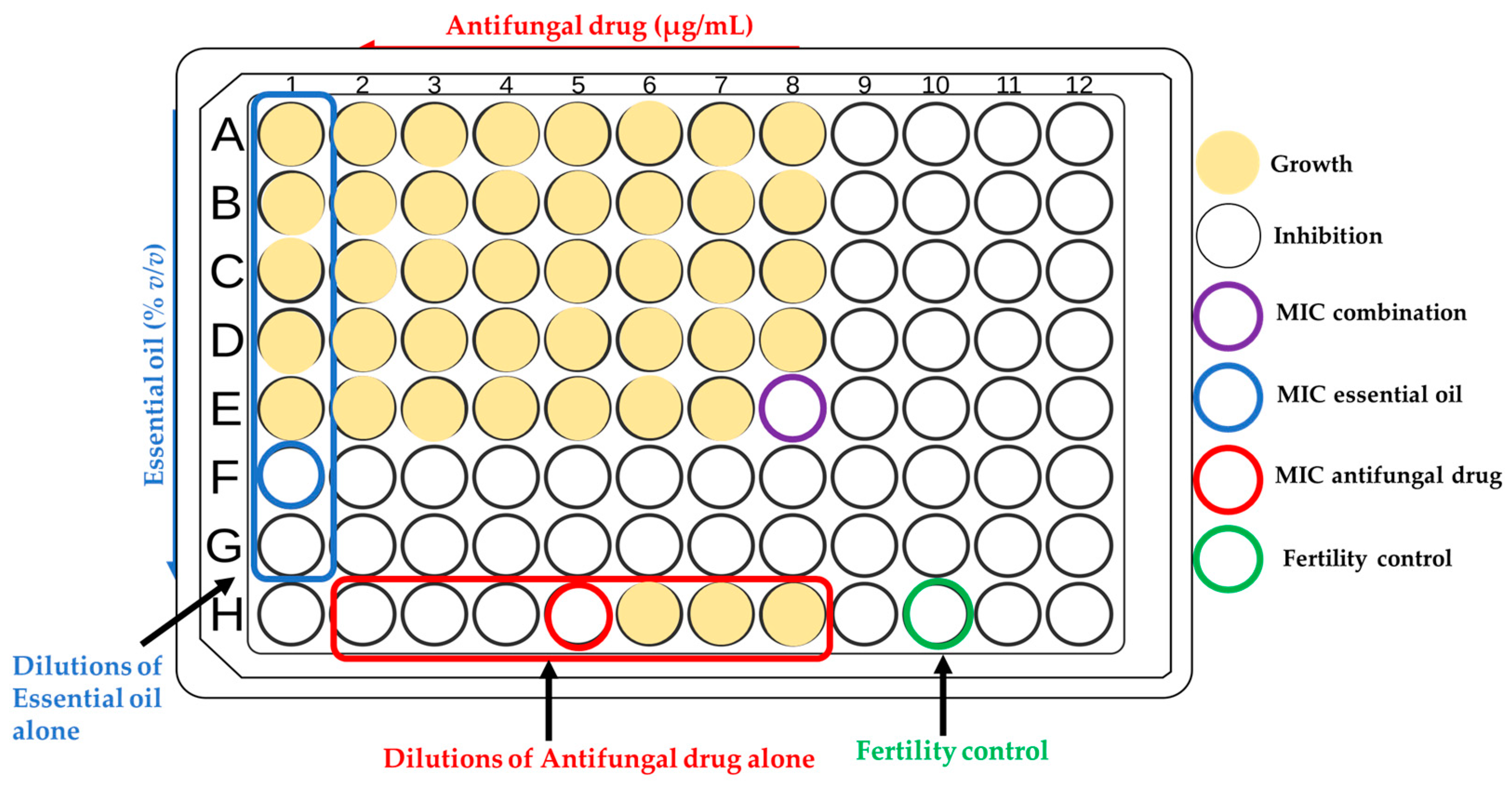 Pharmaceutics 16 00957 g001