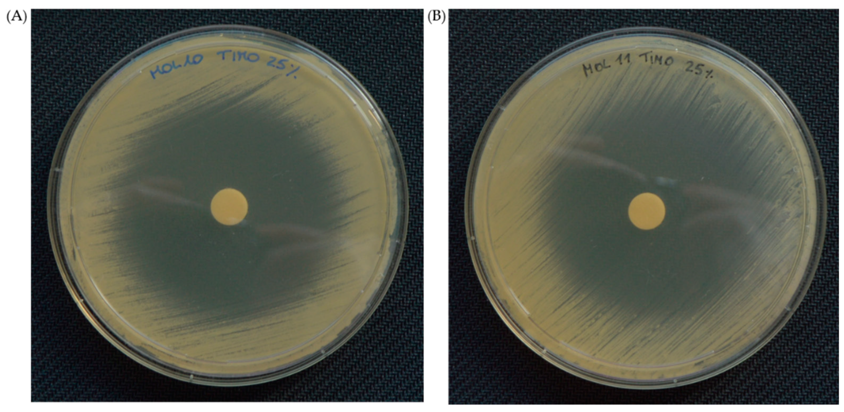 Pharmaceutics 16 00957 g002