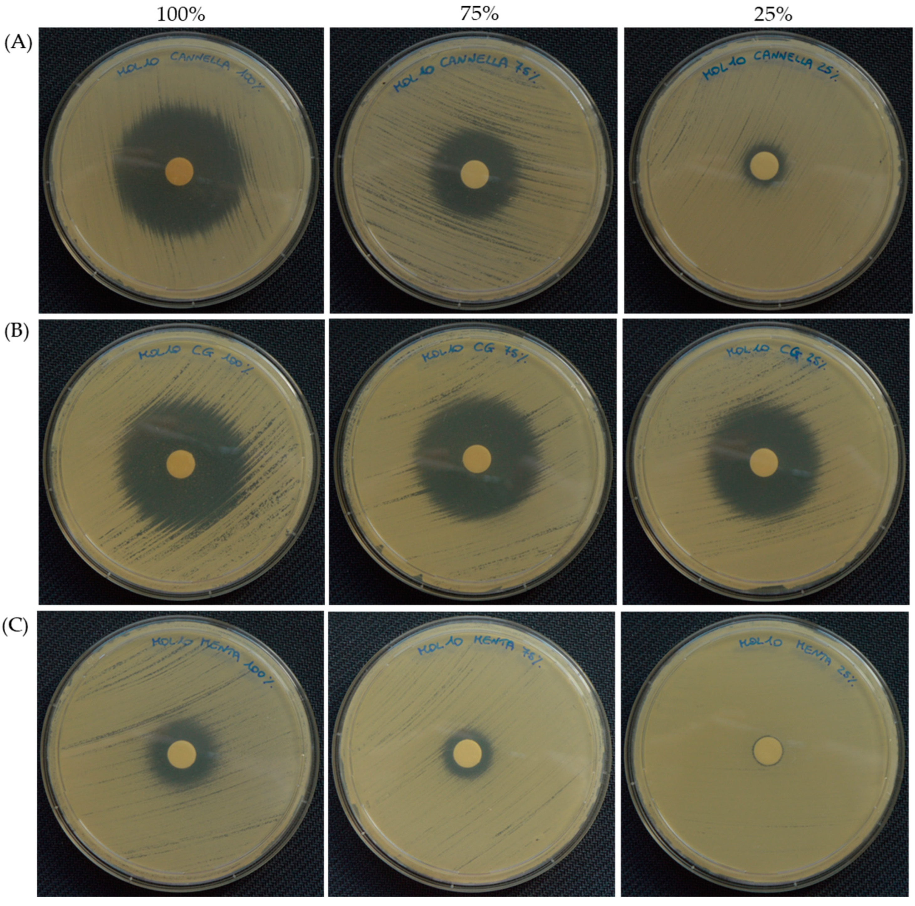 Pharmaceutics 16 00957 g003