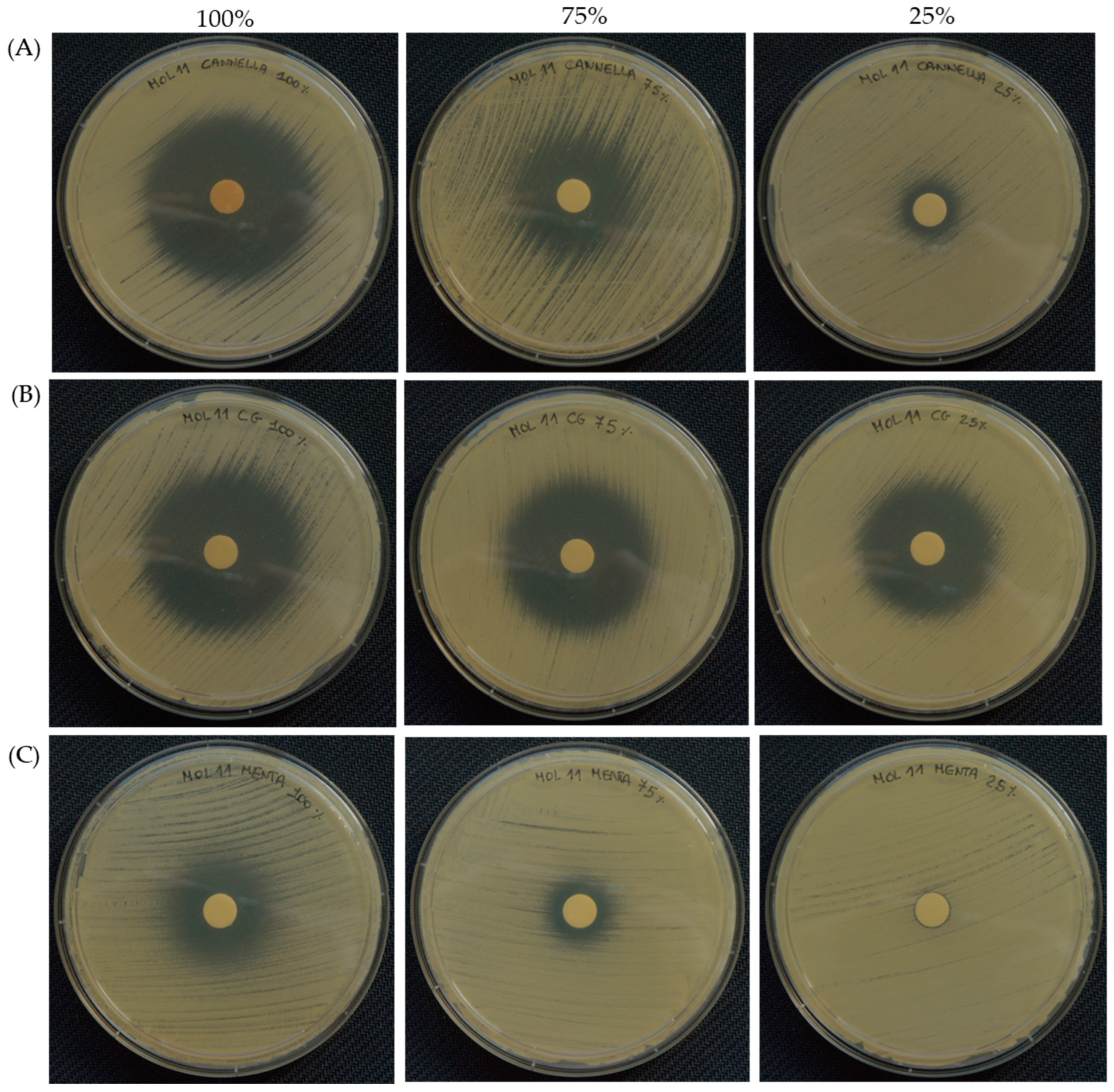 Pharmaceutics 16 00957 g004