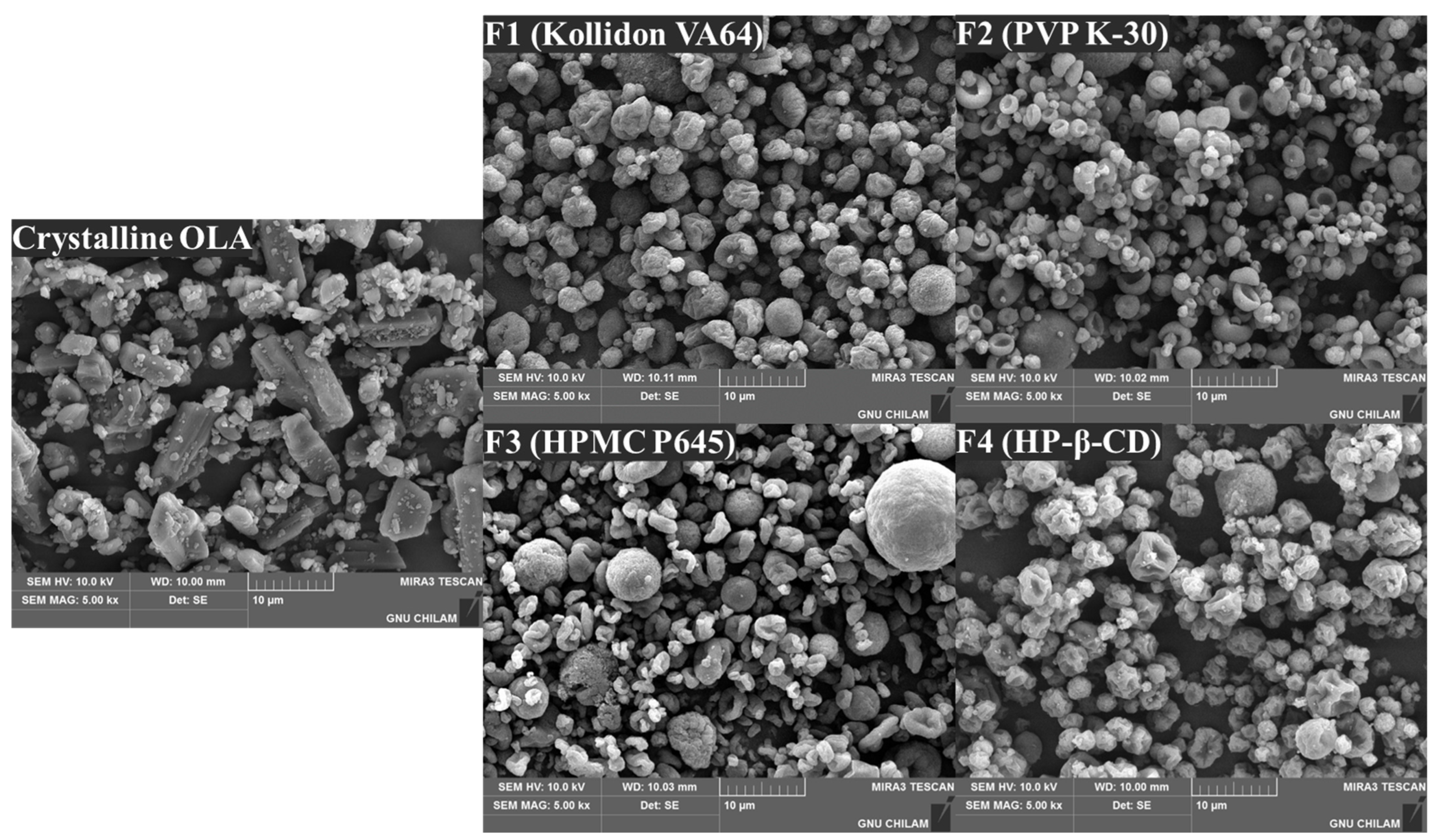 Pharmaceutics 16 00958 g006