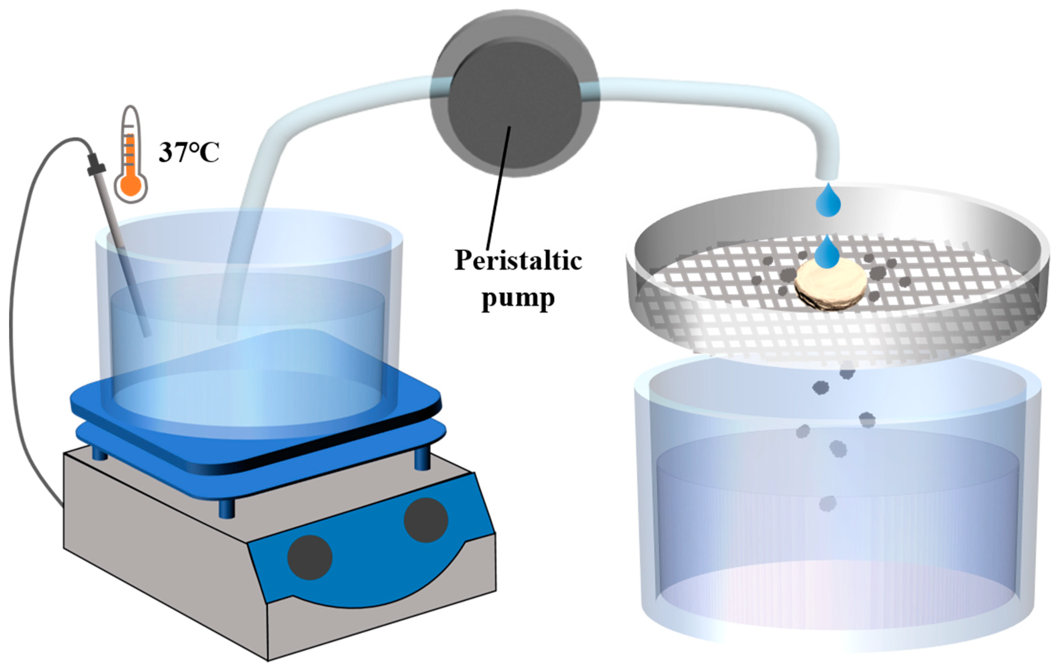 Pharmaceutics 16 00959 g001 Pharmaceutics 16 00959 g001