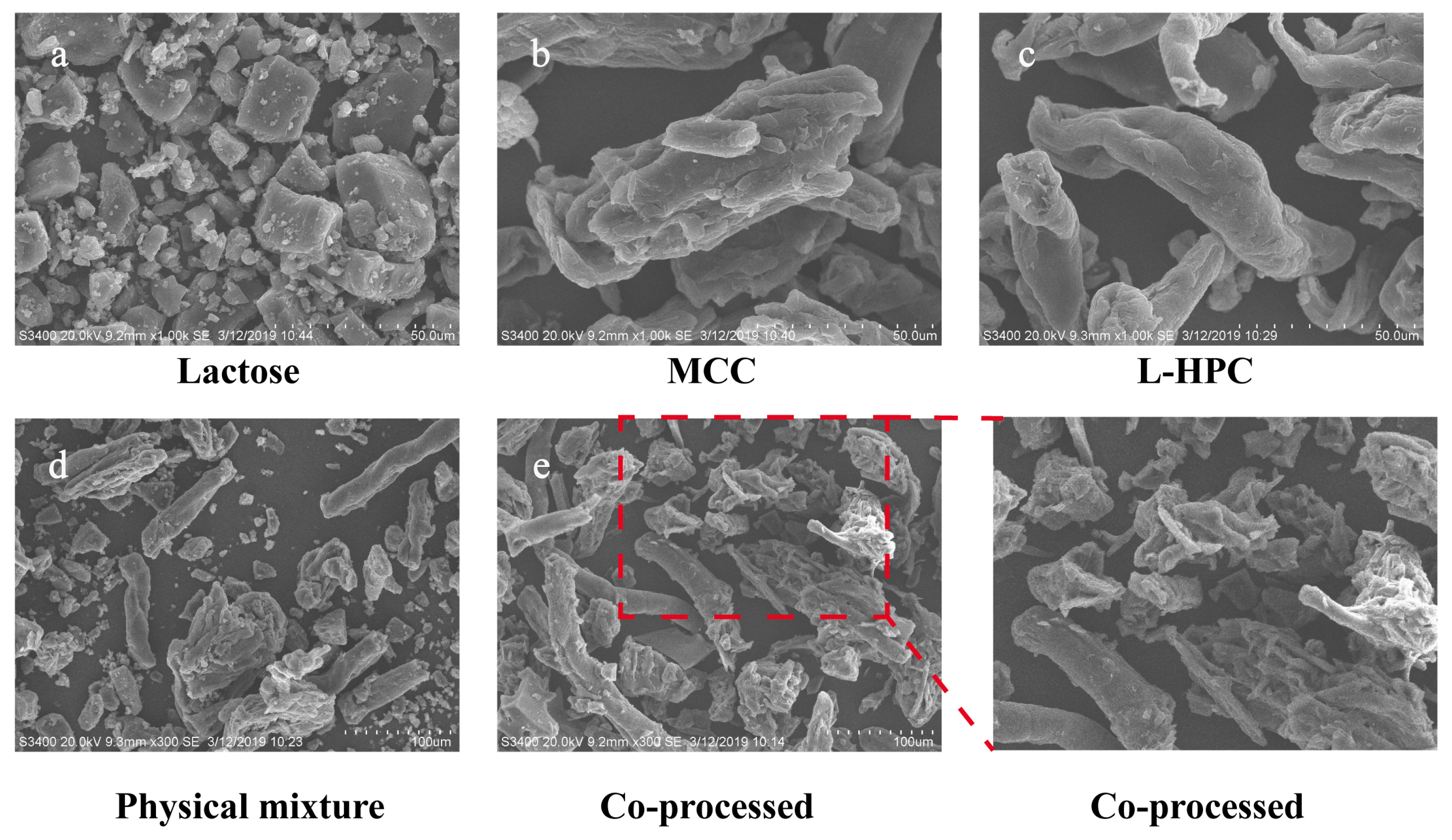 Pharmaceutics 16 00959 g004 Pharmaceutics 16 00959 g004