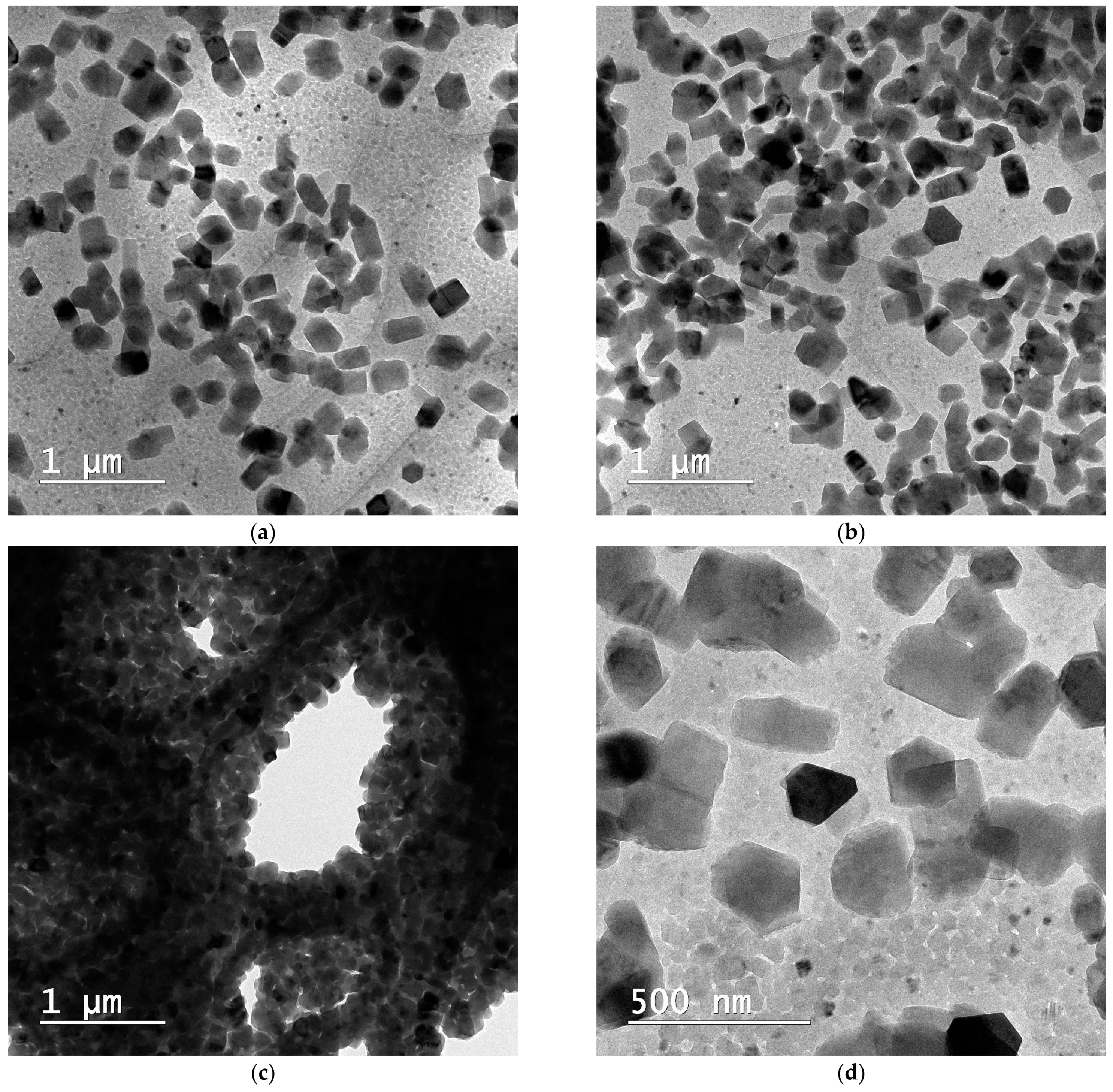 Pharmaceutics 16 00960 g012a