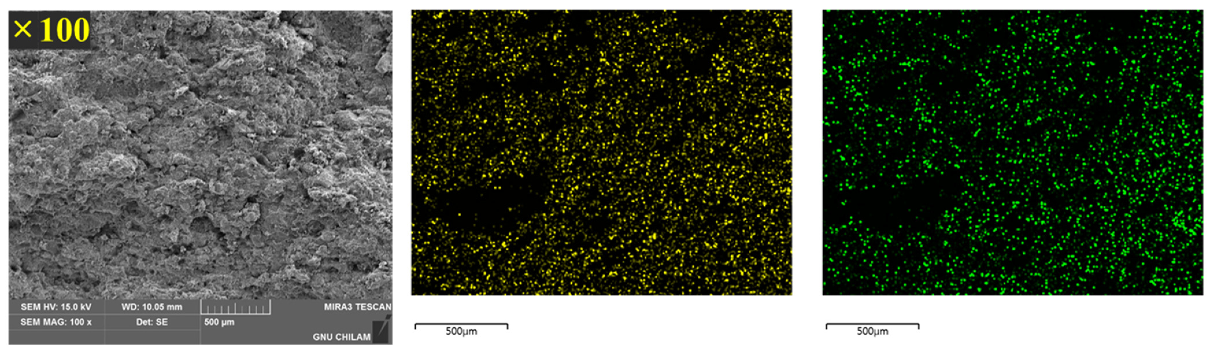 Pharmaceutics 16 00963 g007 Pharmaceutics 16 00963 g007