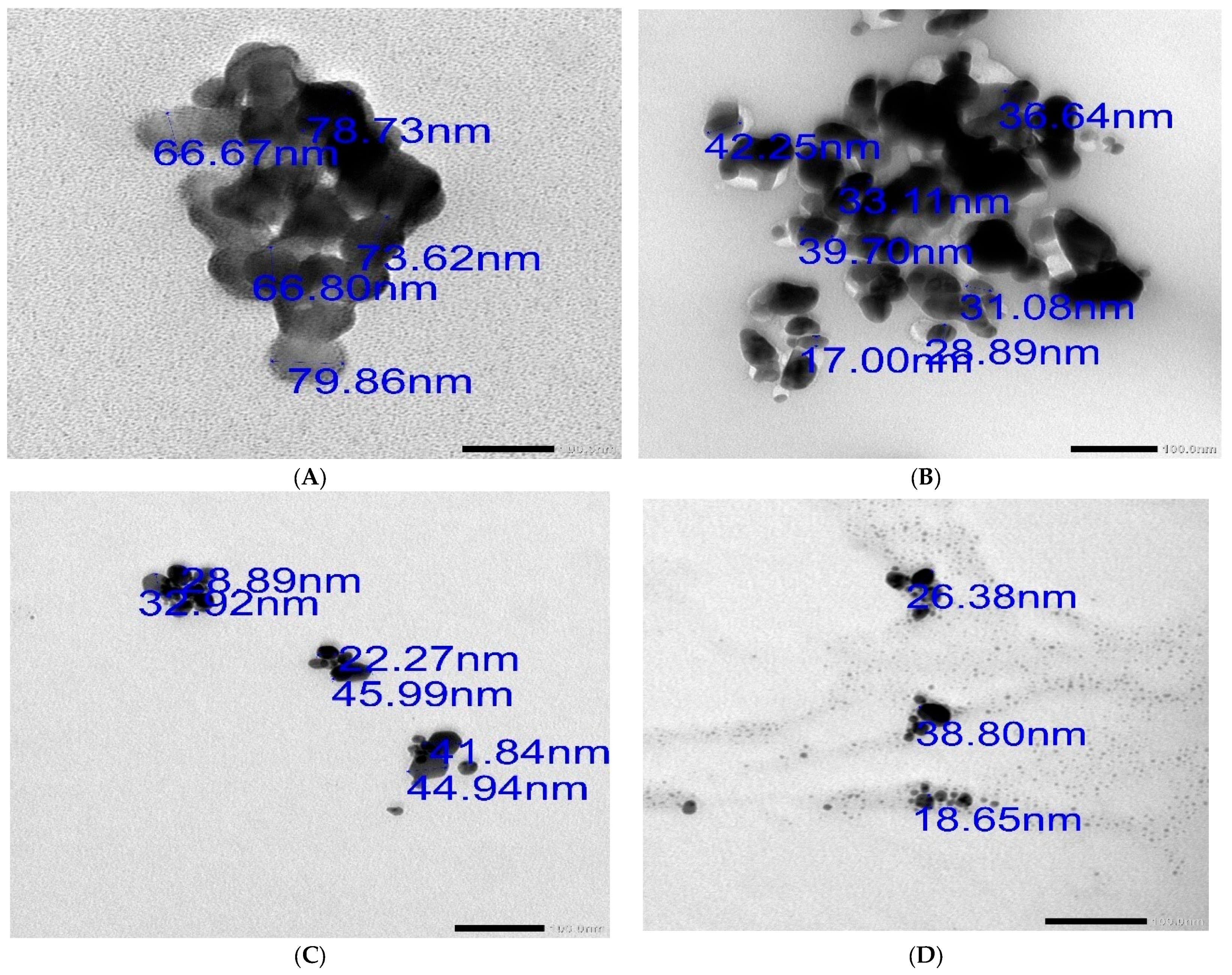 Pharmaceutics 16 00968 g002