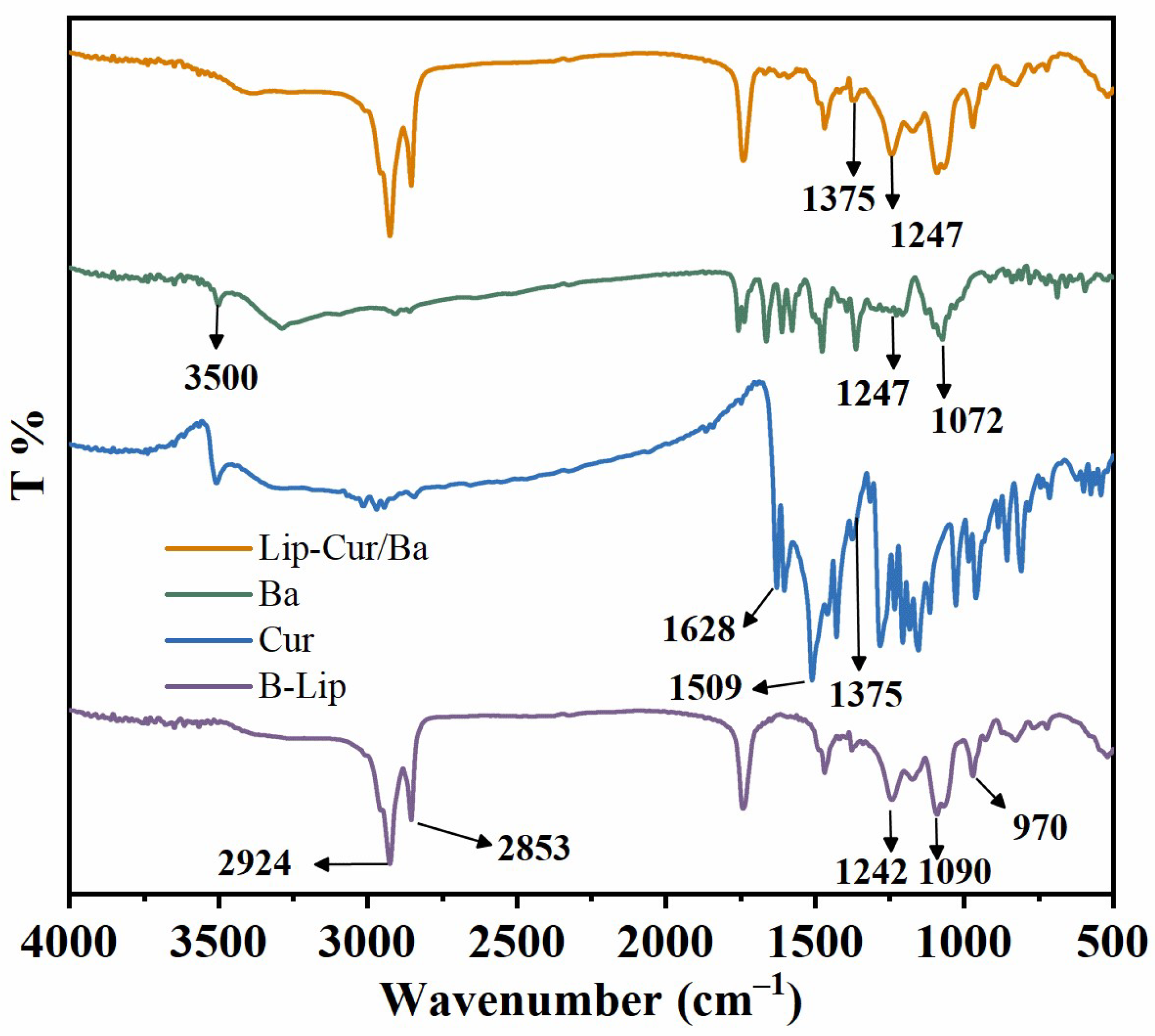 Pharmaceutics 16 00973 g002