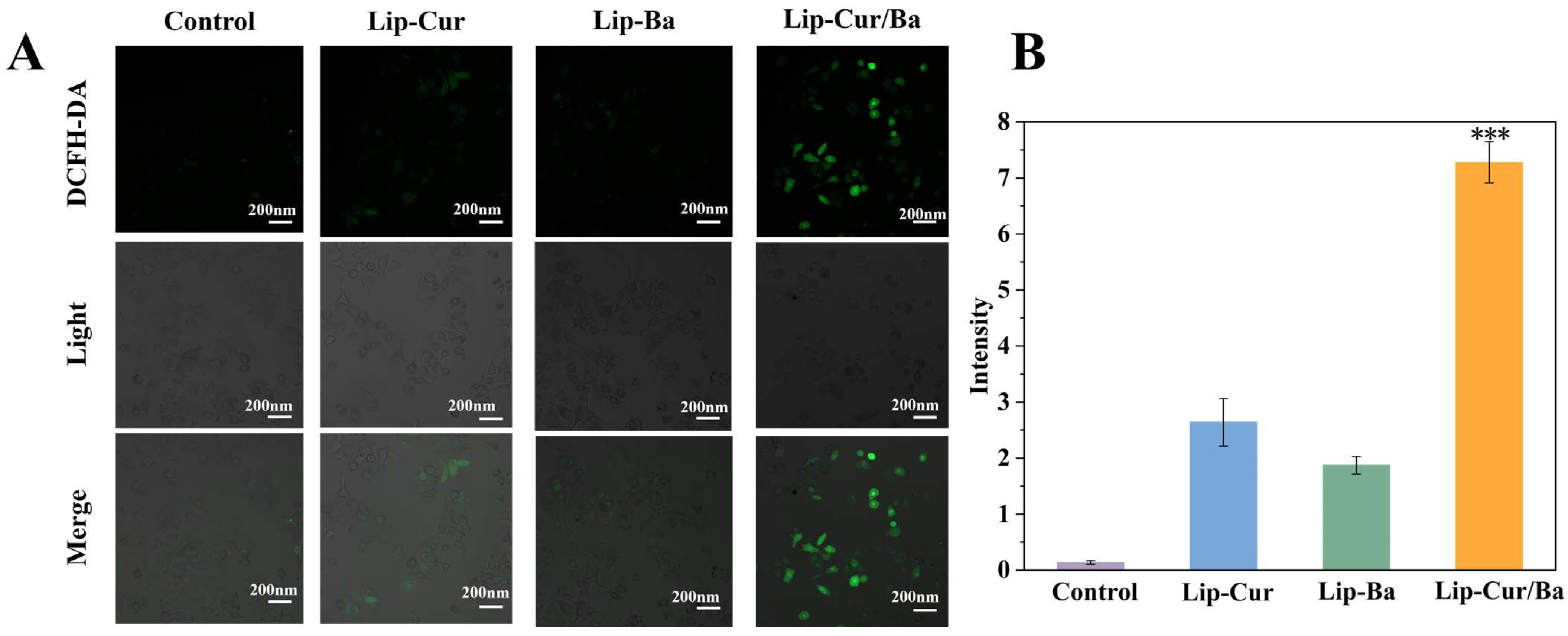 Pharmaceutics 16 00973 g009