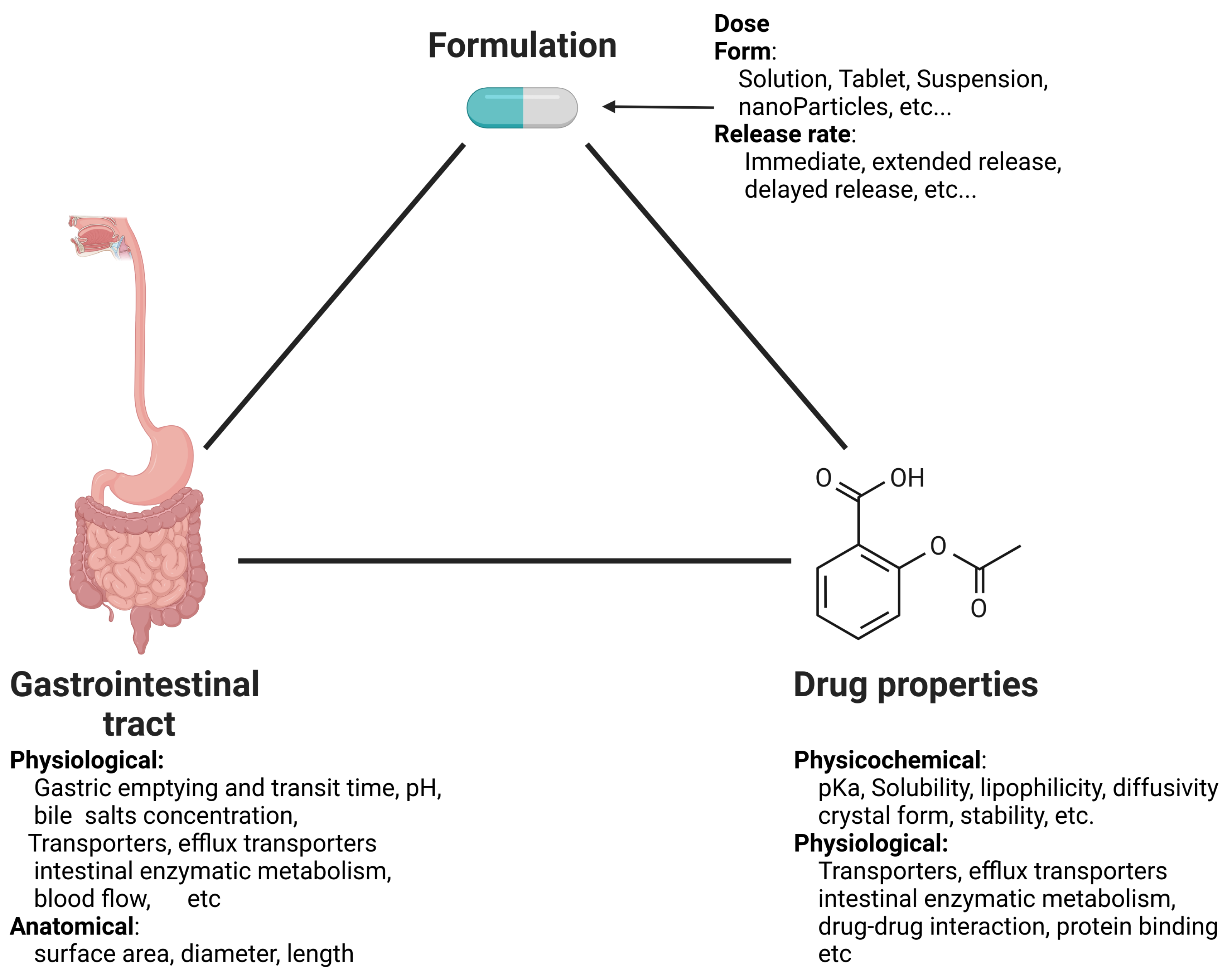 Pharmaceutics 16 00978 g001