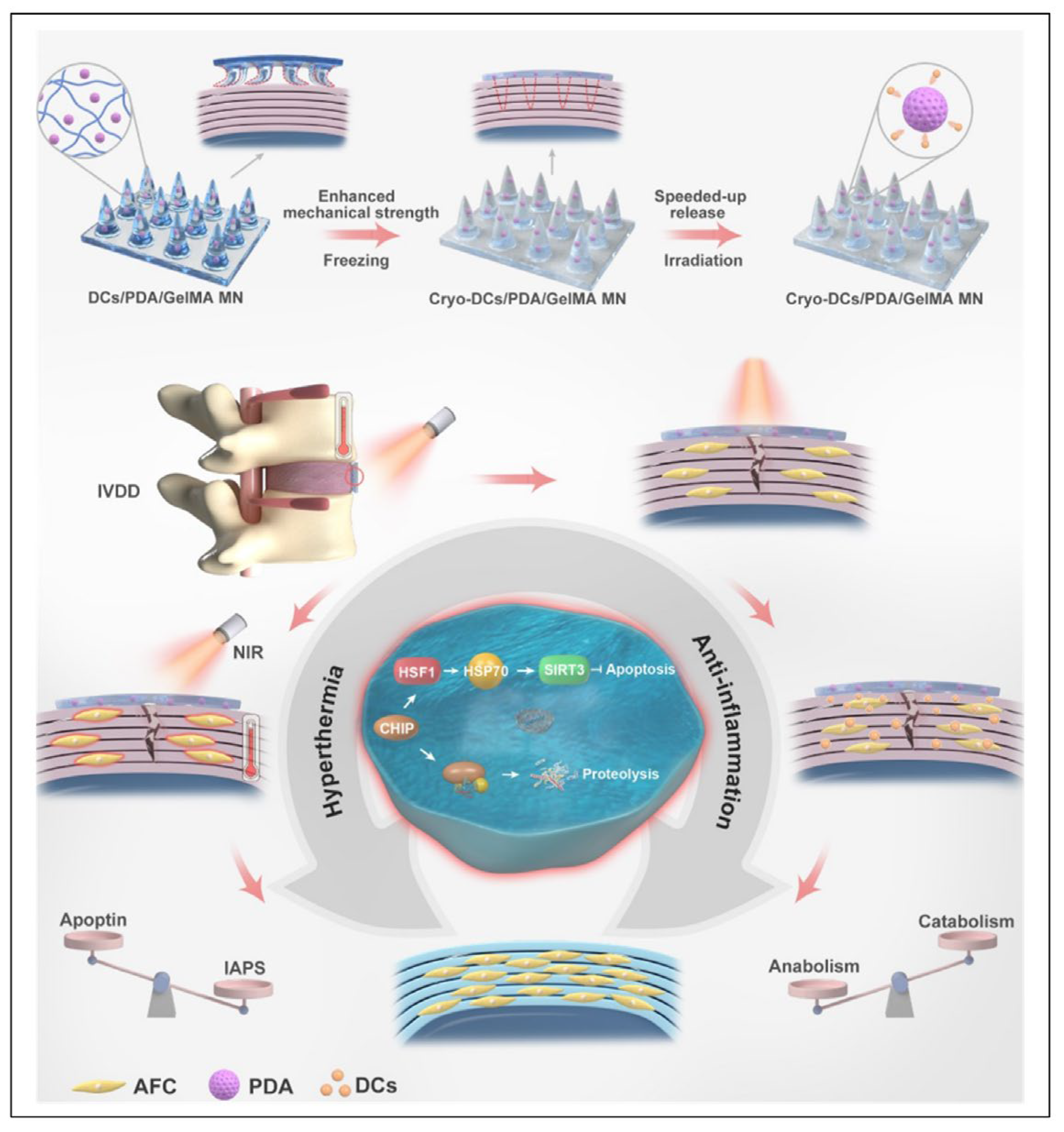 Pharmaceutics 16 00979 g005