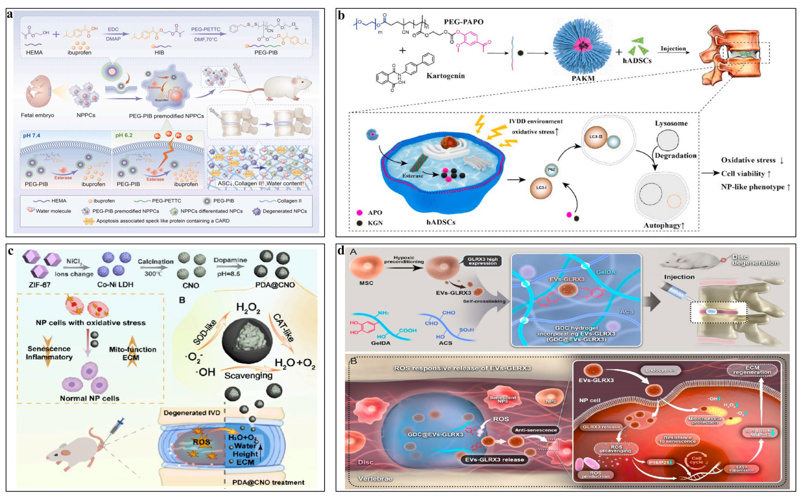 Pharmaceutics 16 00979 g006