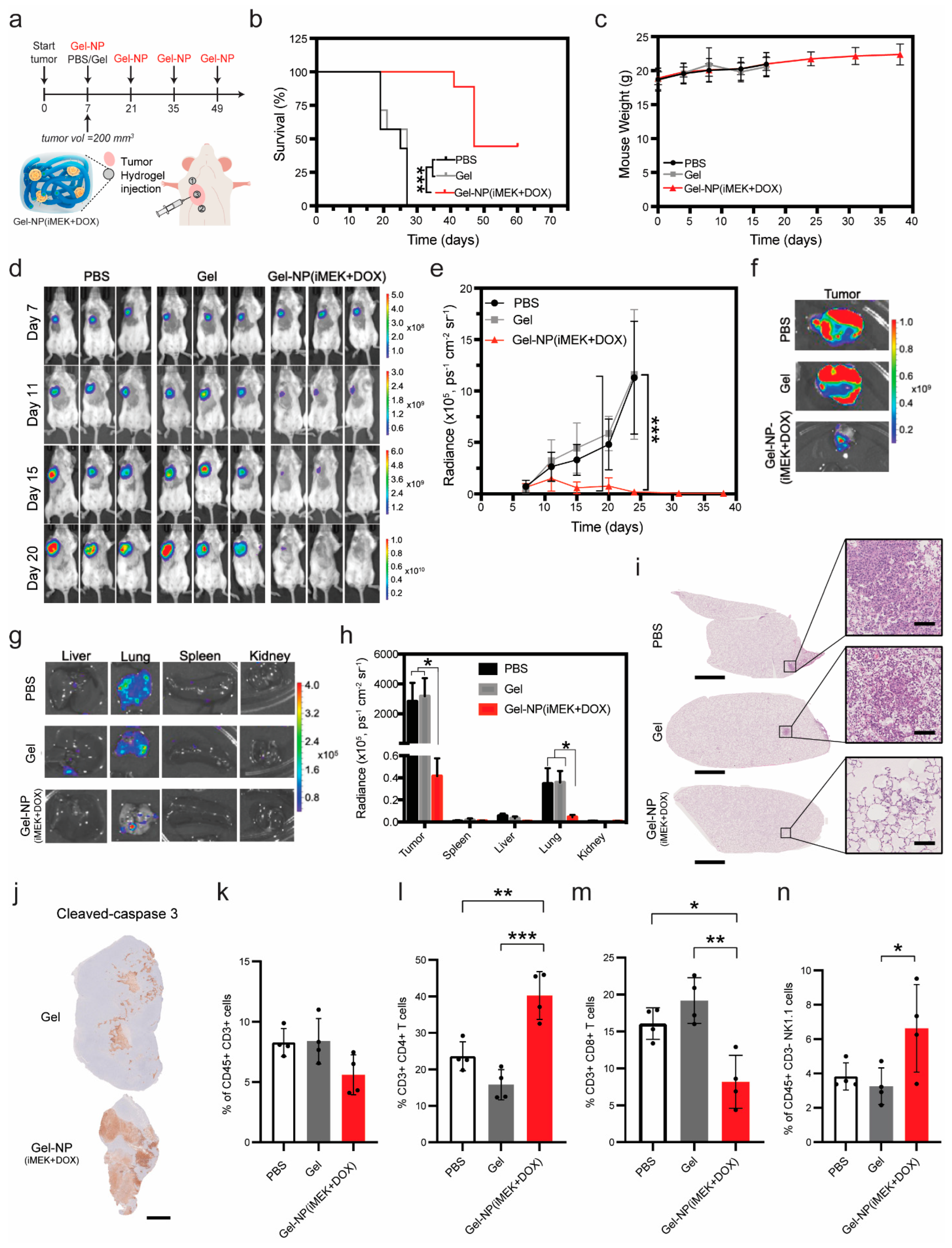 Pharmaceutics 16 00981 g005