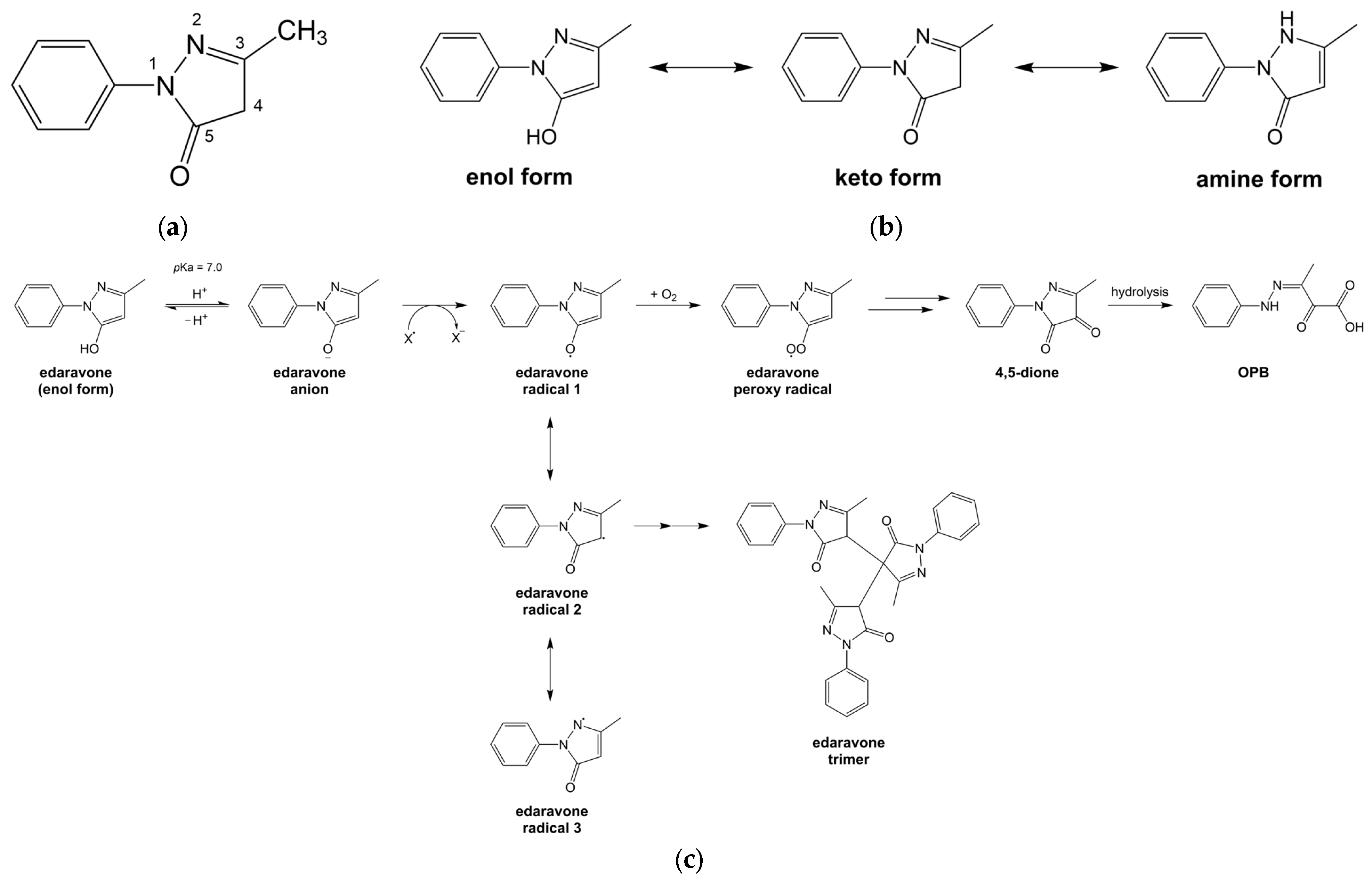 Pharmaceutics 16 00993 g002 Pharmaceutics 16 00993 g002