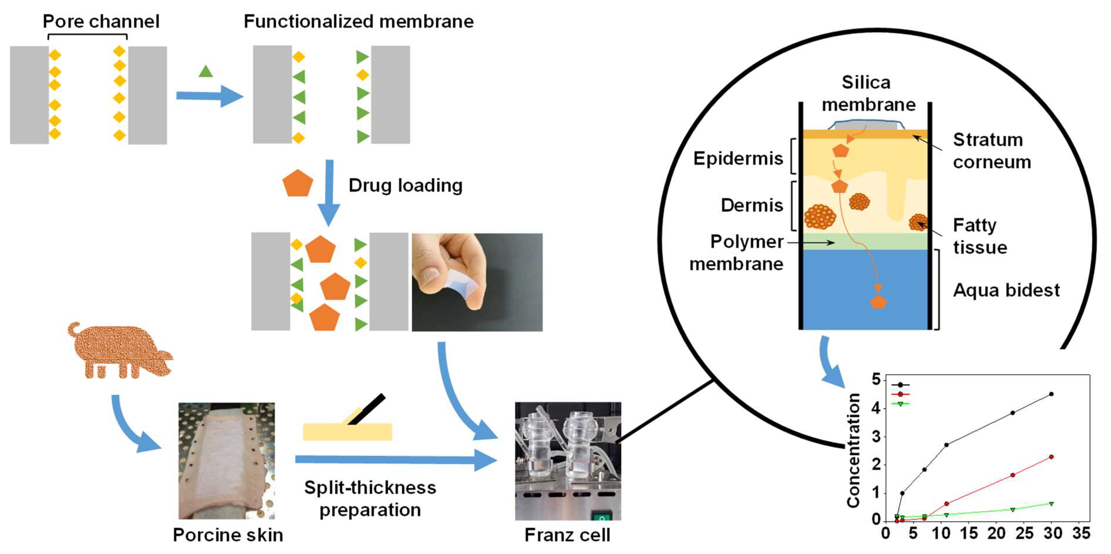 Pharmaceutics 16 00995 g001