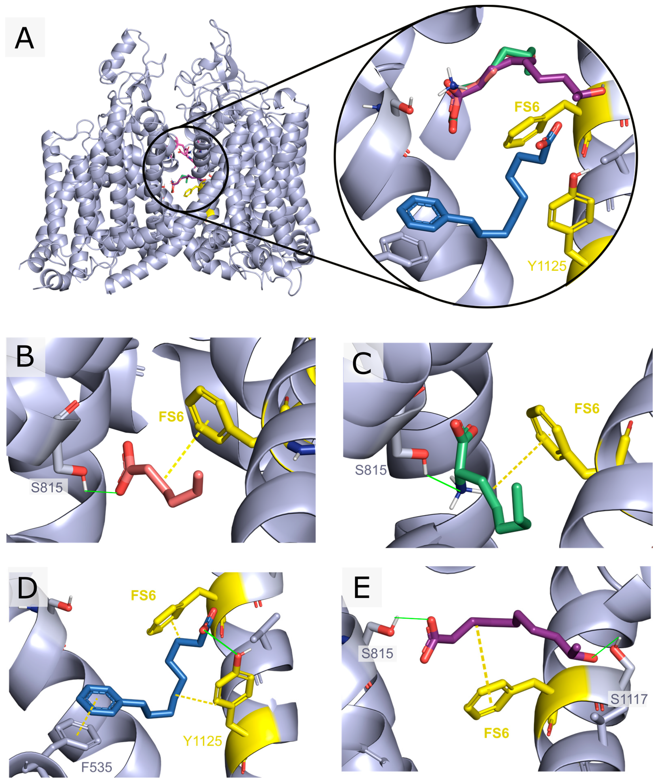 Pharmaceutics 16 00996 g001 Pharmaceutics 16 00996 g001
