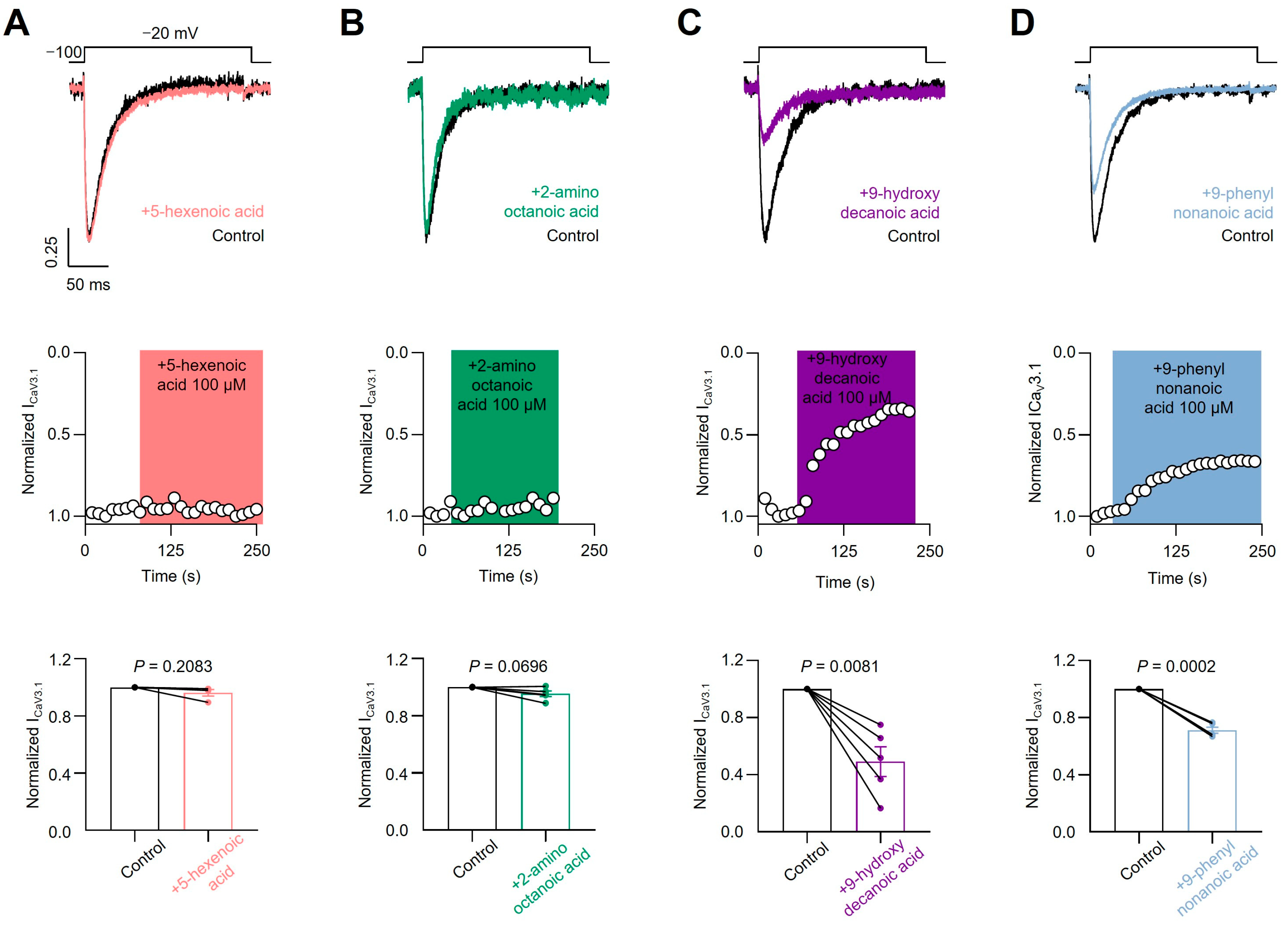 Pharmaceutics 16 00996 g005 Pharmaceutics 16 00996 g005