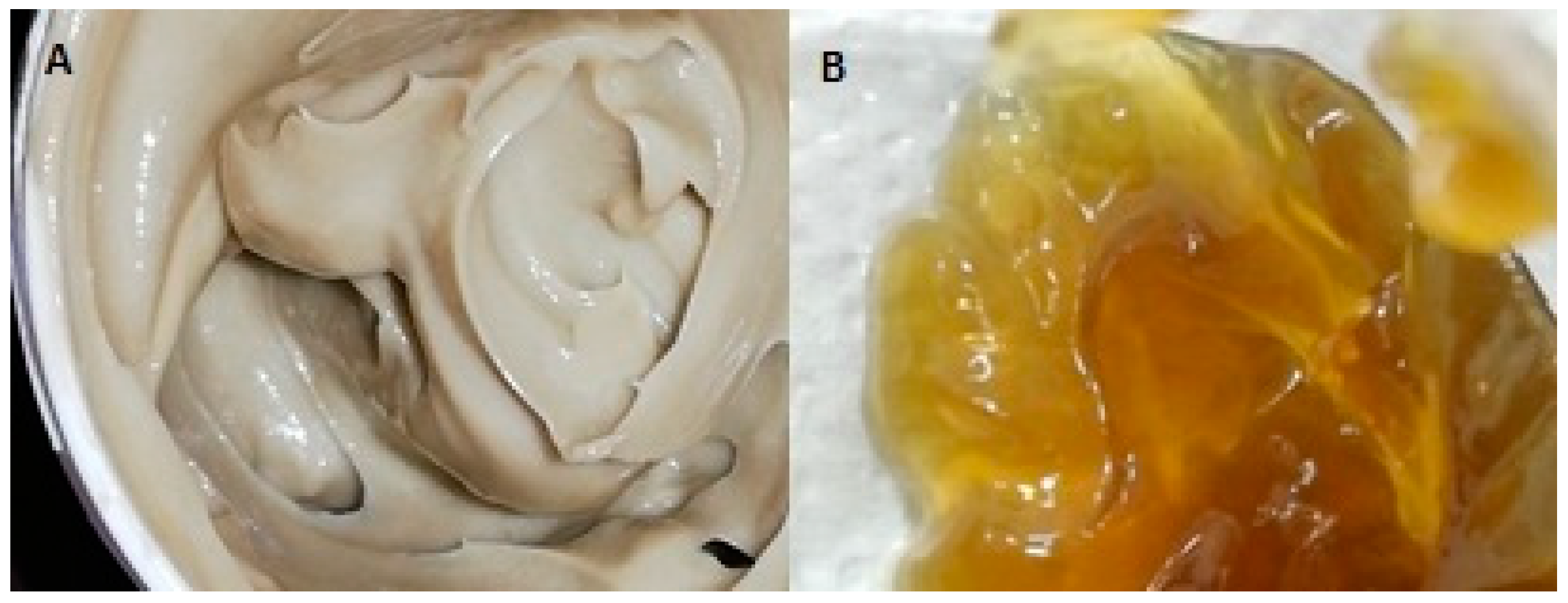 Pharmaceutics 16 01003 g002