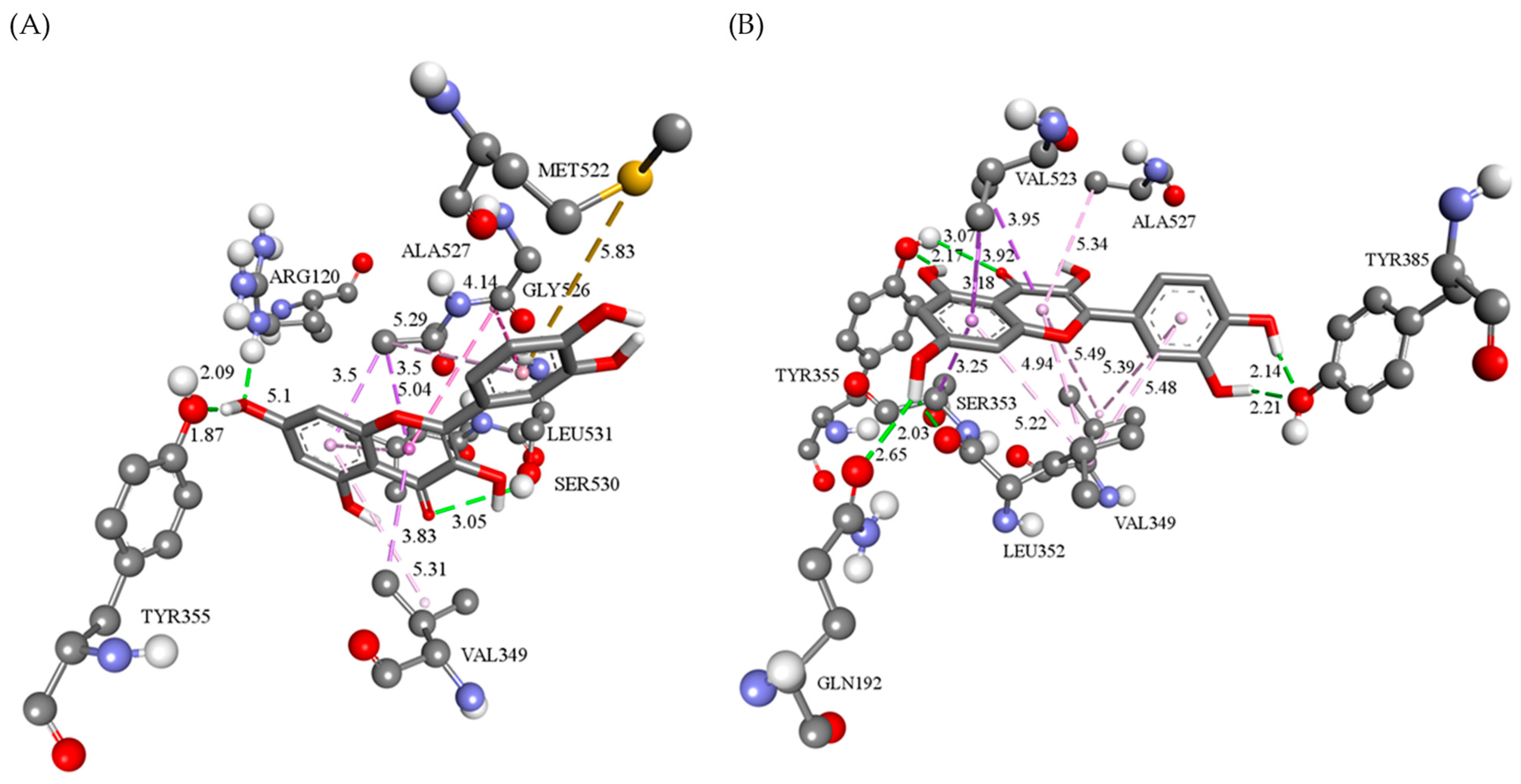 Pharmaceutics 16 01003 g008