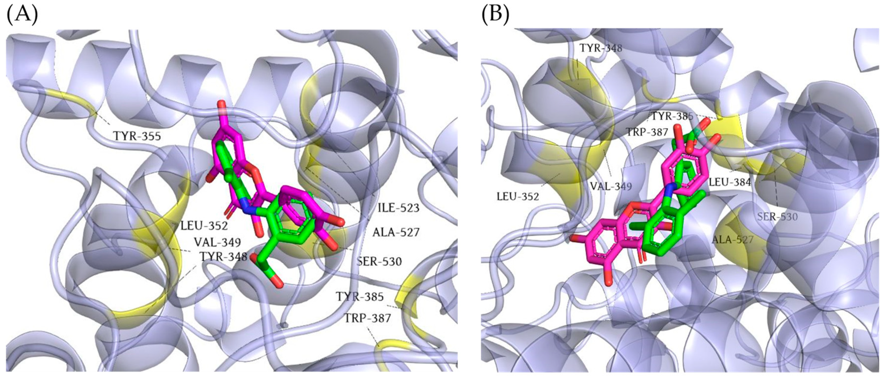Pharmaceutics 16 01003 g009